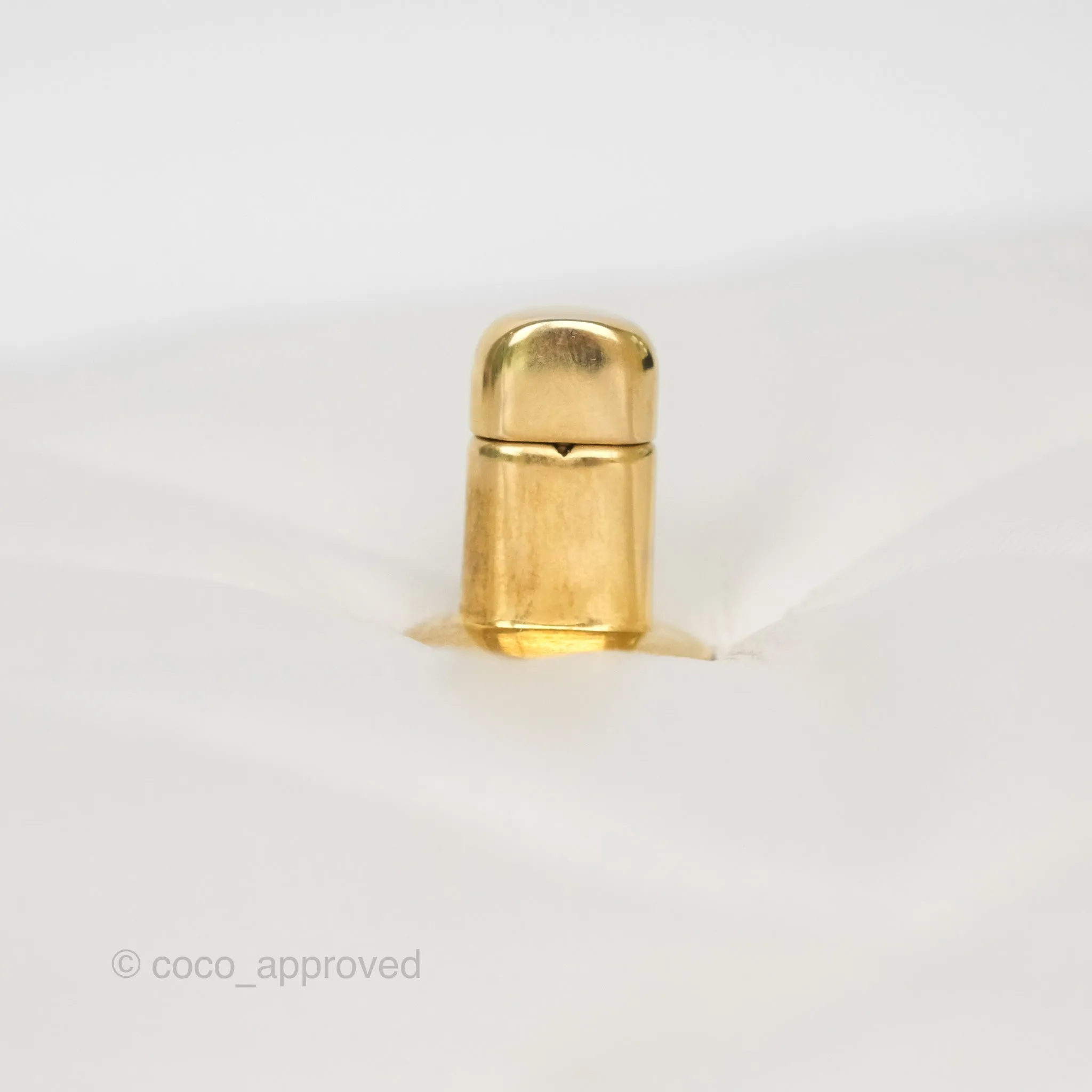 Chanel 19 Small Pearly White Mixed Hardware