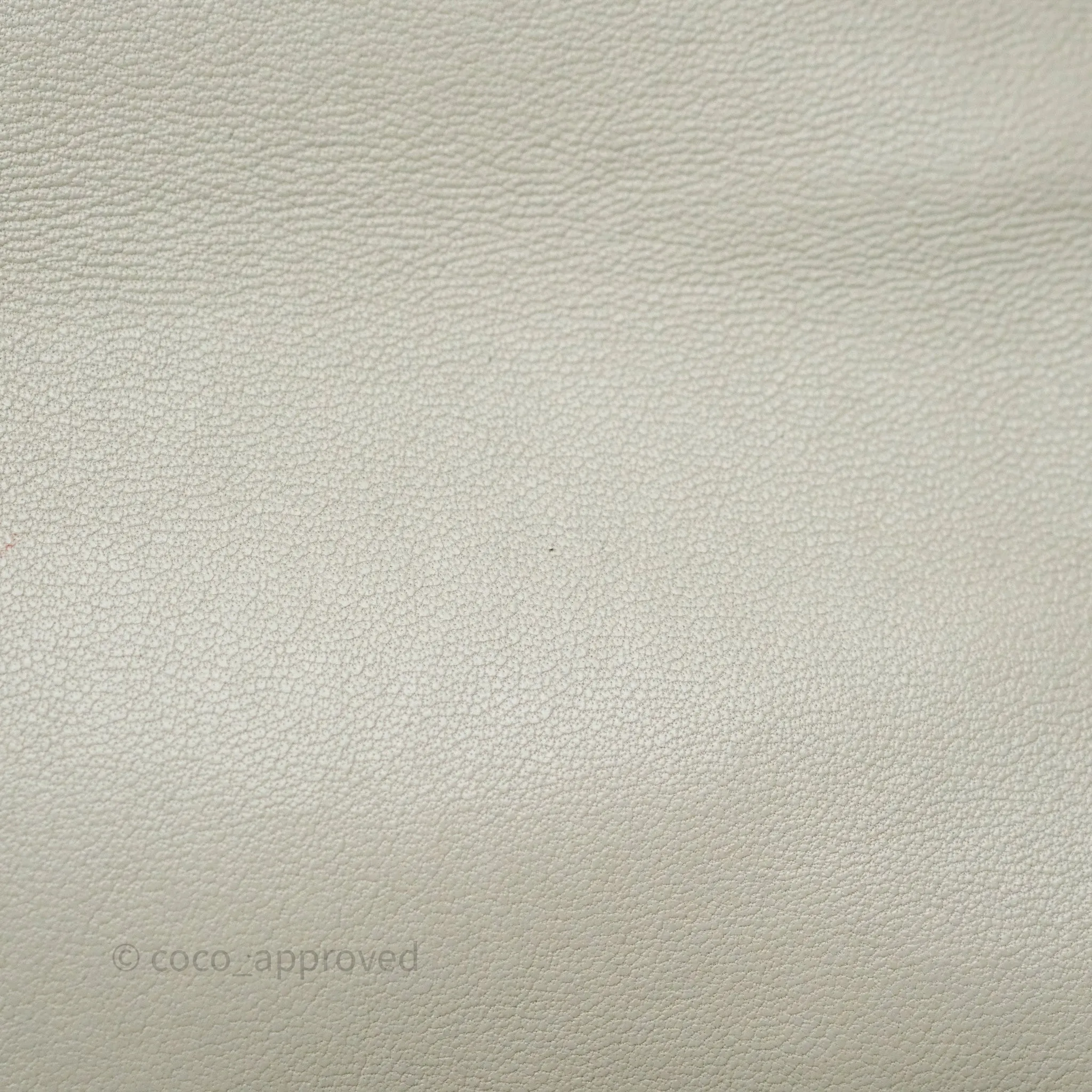 Chanel 19 Small Sage Grey Mixed Hardware