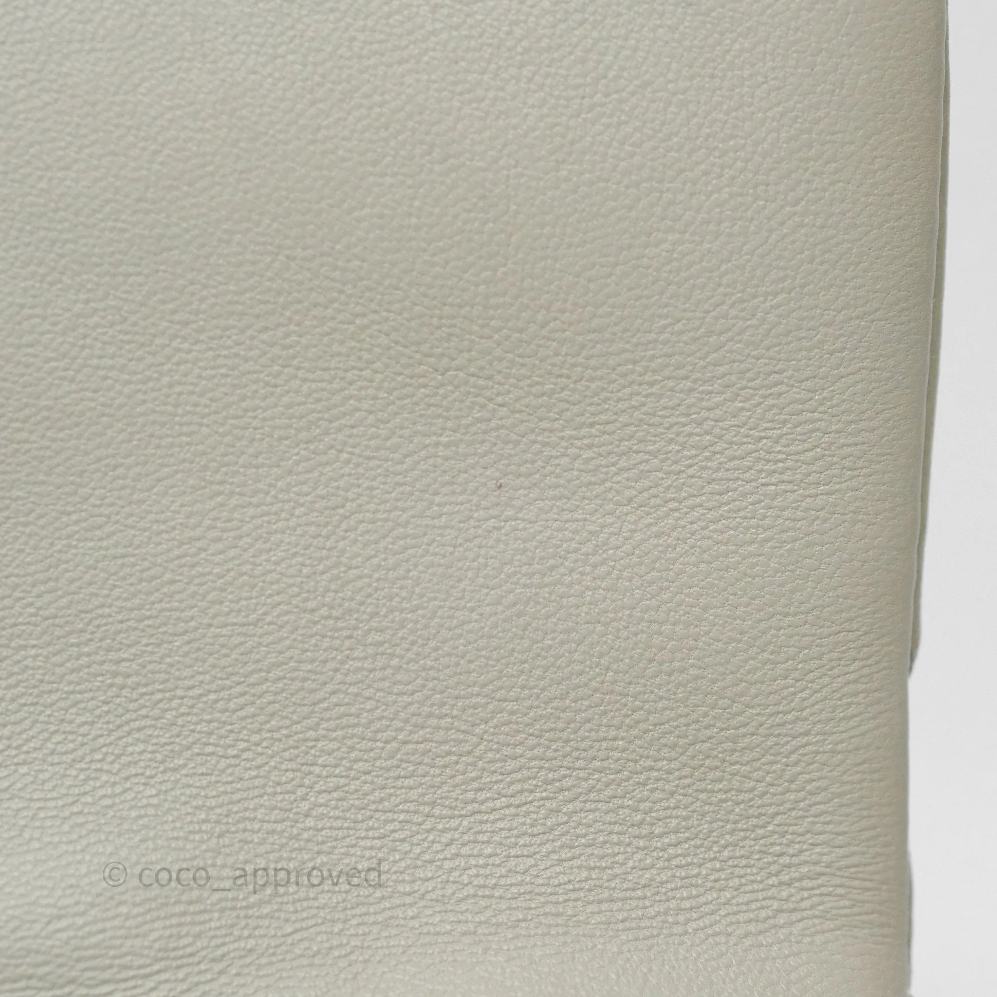 Chanel 19 Small Sage Grey Mixed Hardware