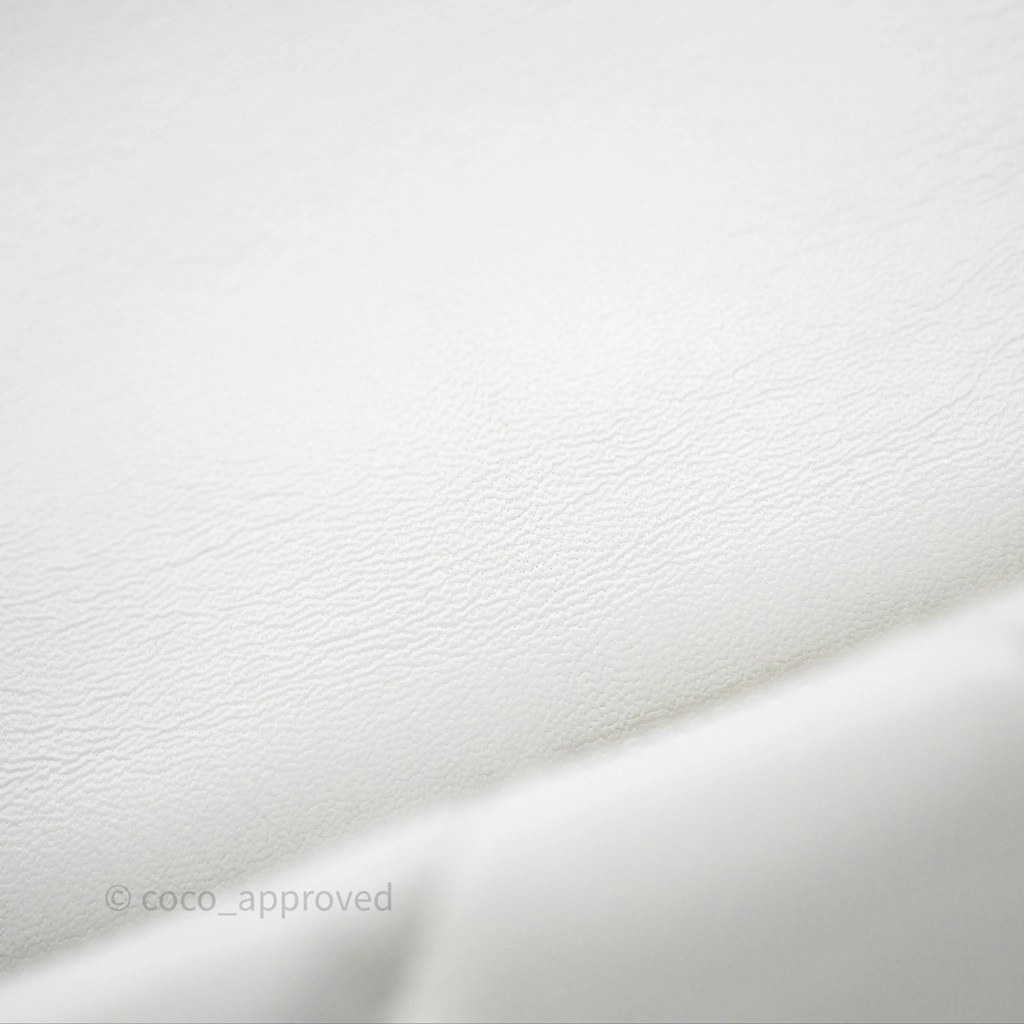 Chanel 19 Small White Mixed Hardware