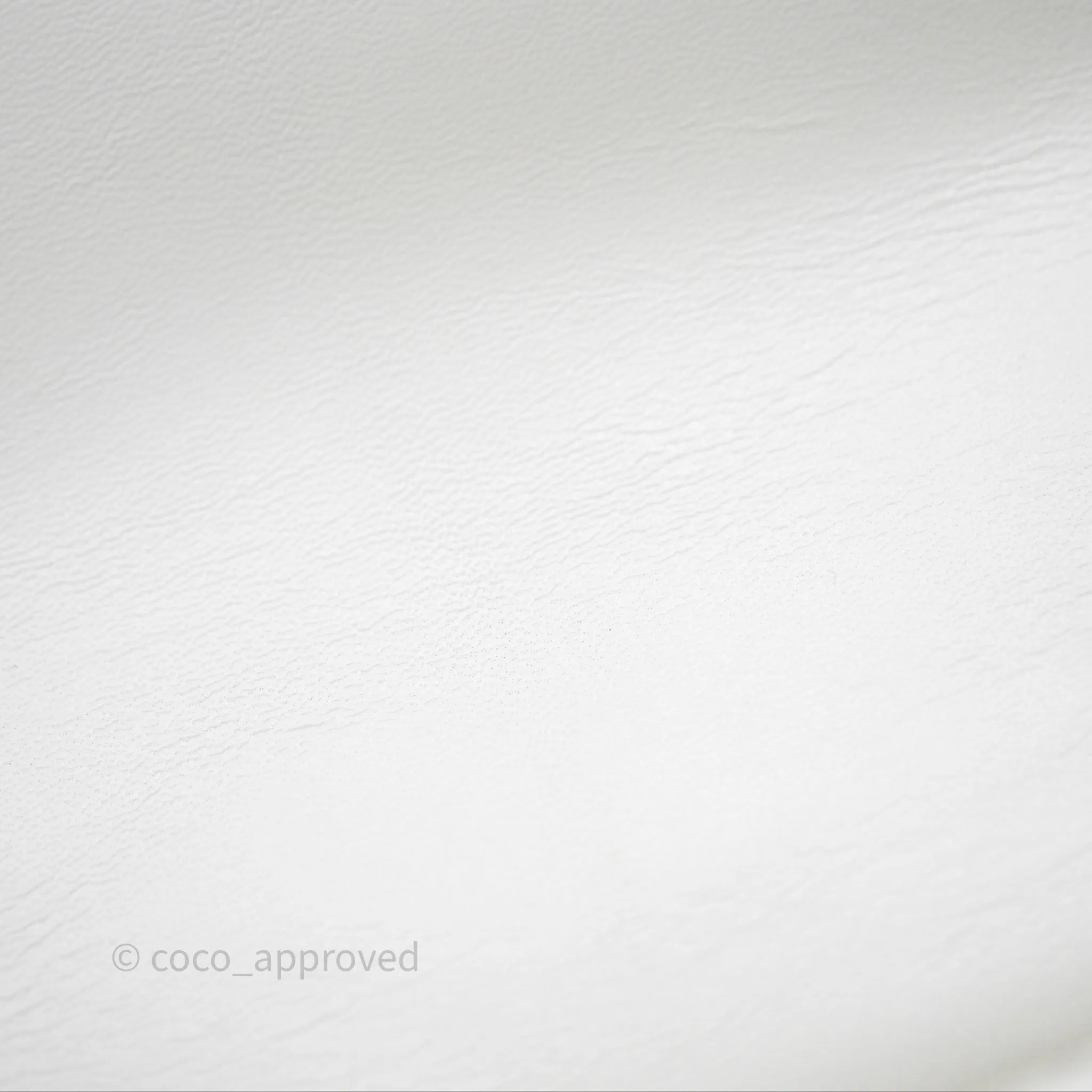 Chanel 19 Small White Mixed Hardware