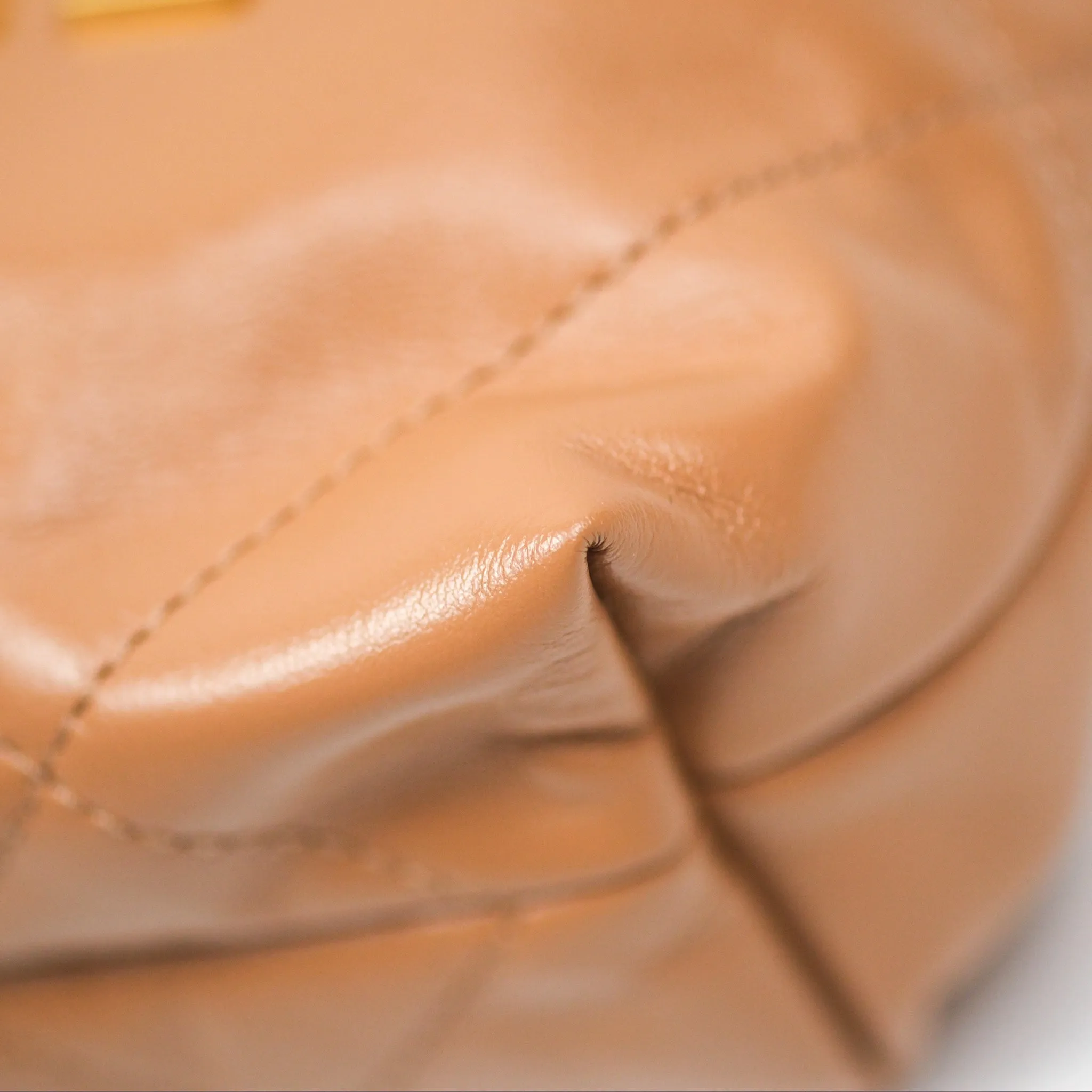 Chanel 22 Mini Bag Caramel Crumpled Calfskin