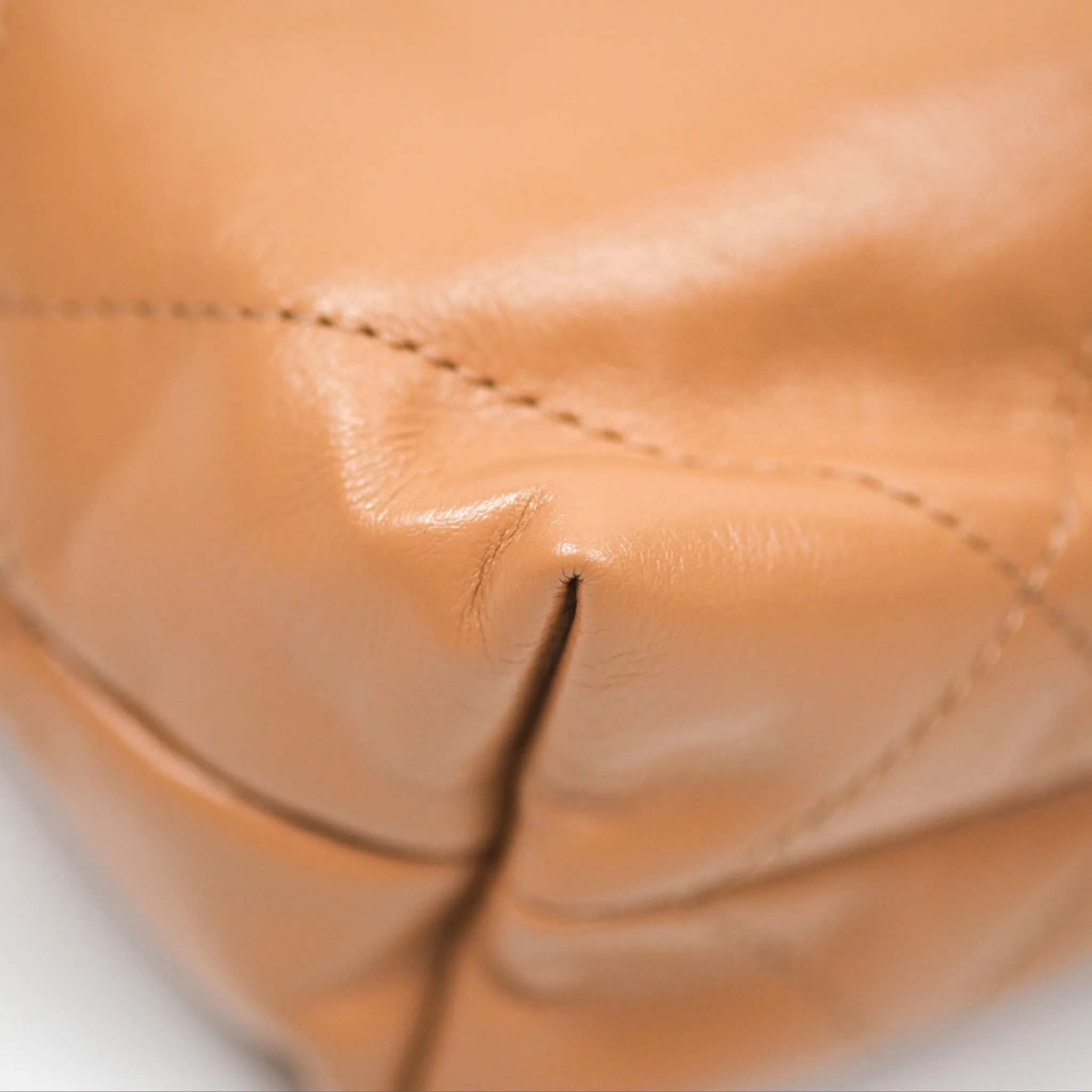 Chanel 22 Mini Bag Caramel Crumpled Calfskin