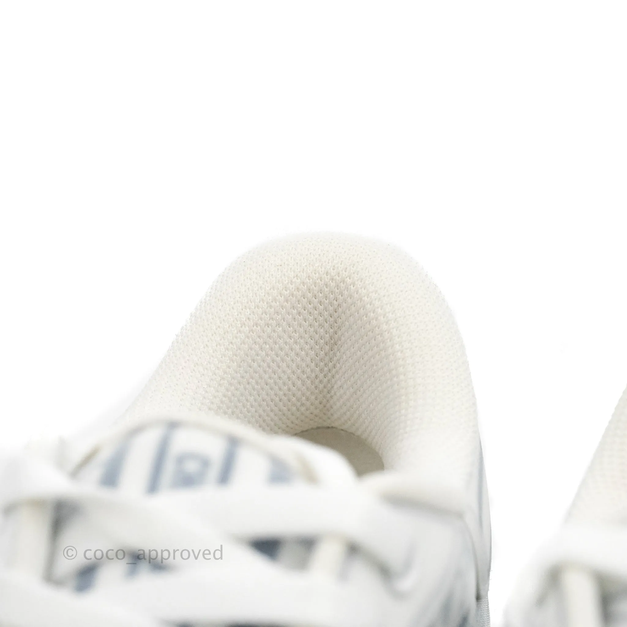 Christian Dior Dior Addict Sneaker Blue Toile de Jouy Technical Fabric
