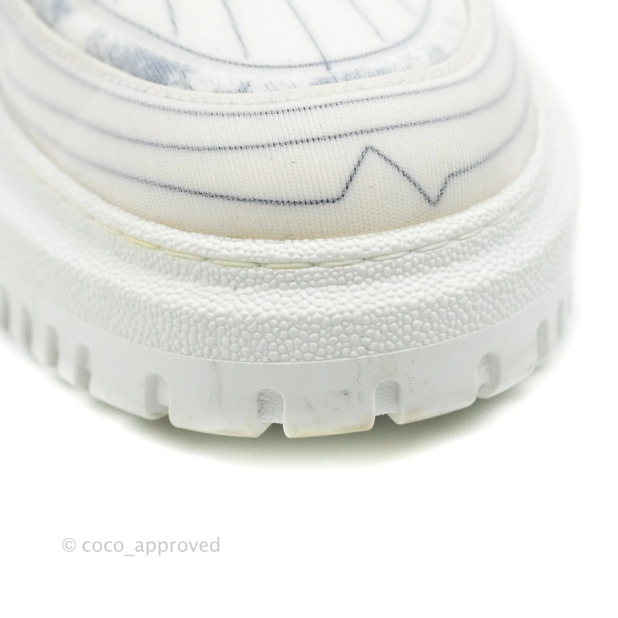 Christian Dior Dior Addict Sneaker Blue Toile de Jouy Technical Fabric
