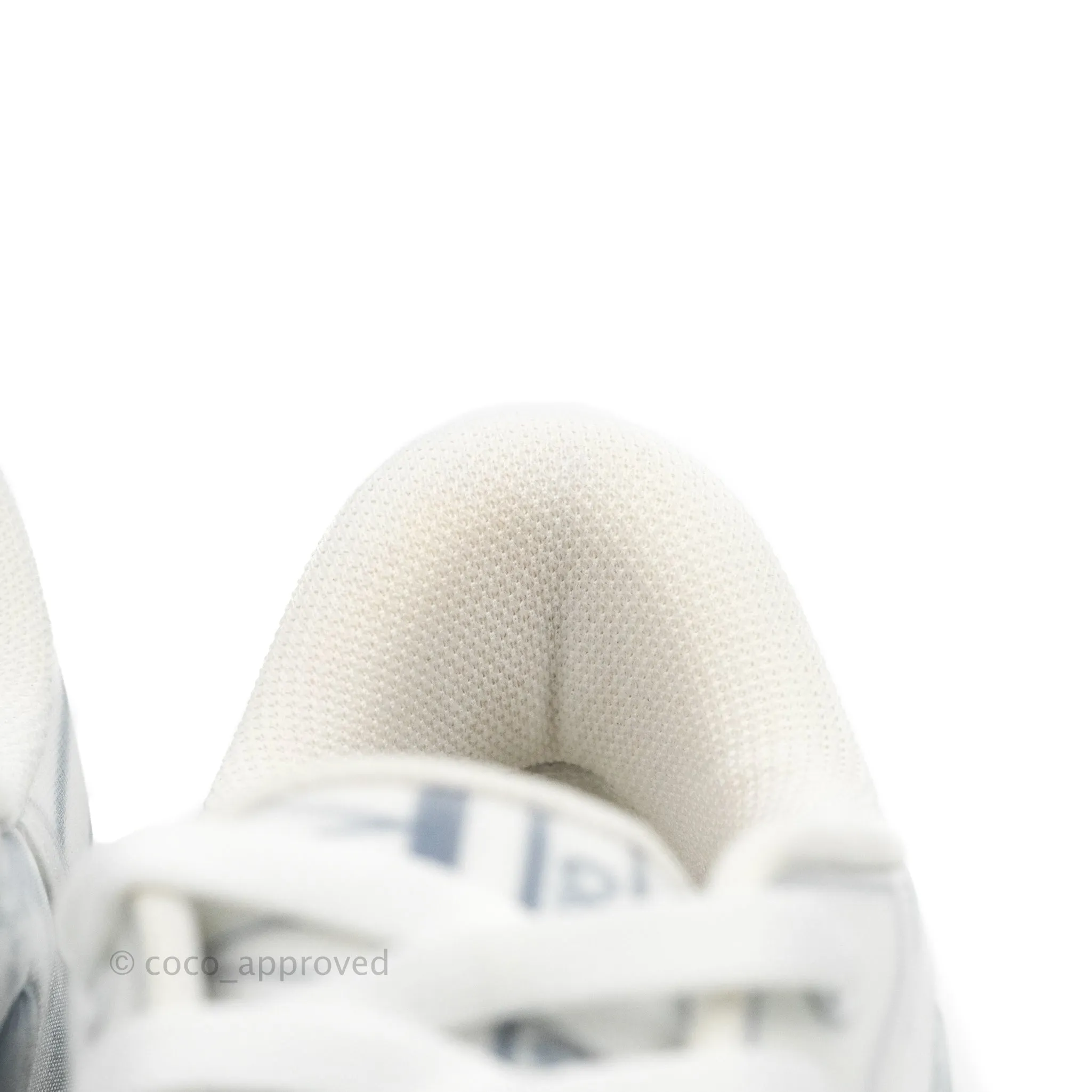 Christian Dior Dior Addict Sneaker Blue Toile de Jouy Technical Fabric