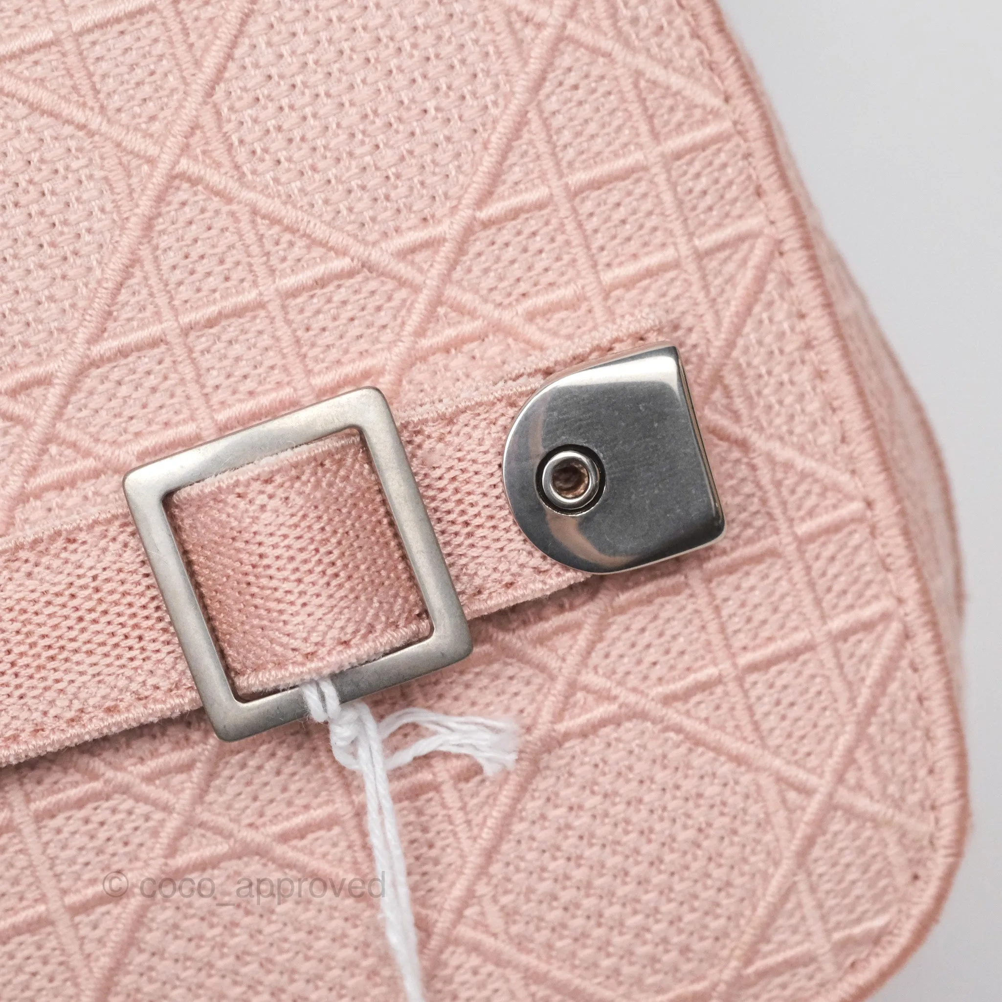 Christian Dior DiorTravel Vanity Case Pink Cannage