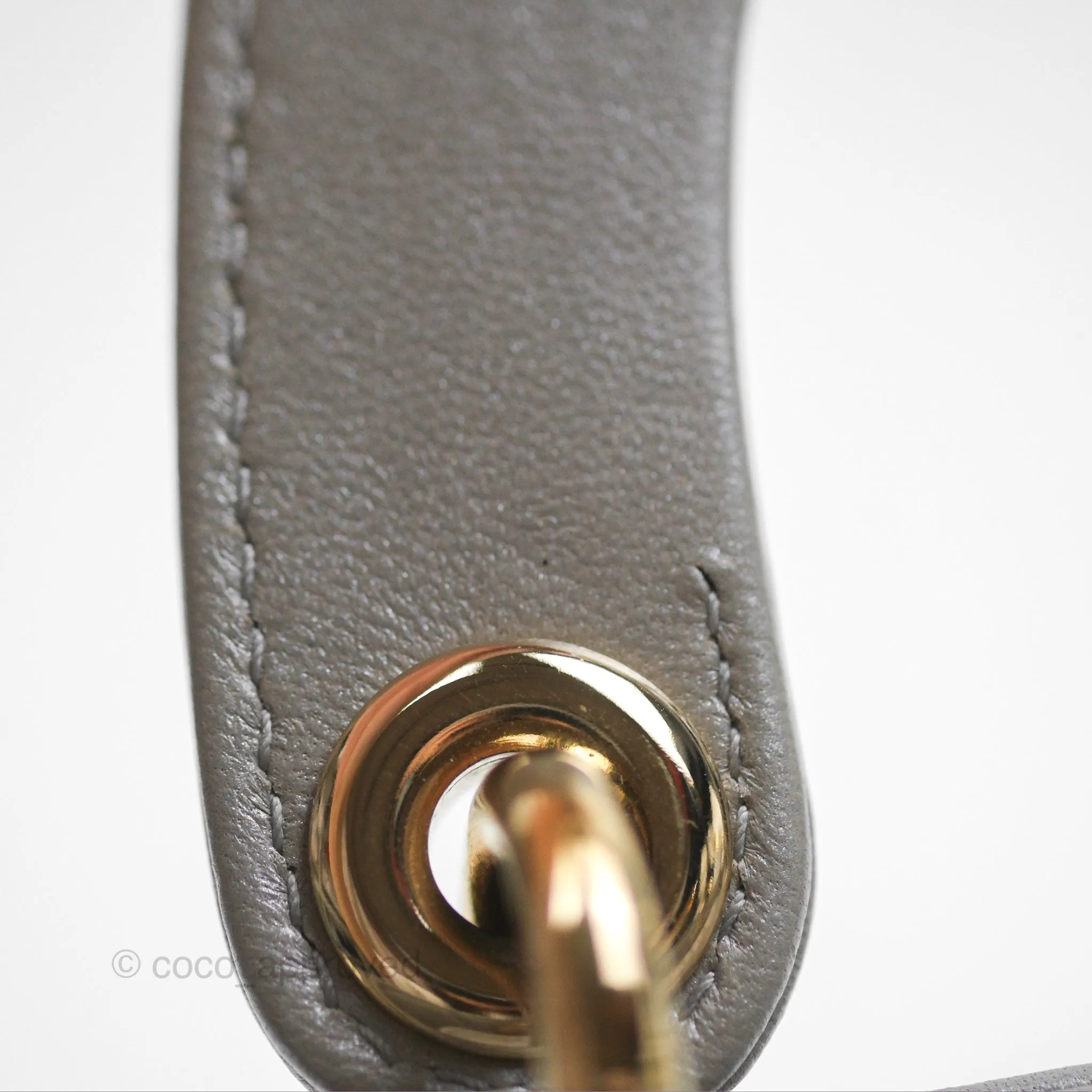 Christian Dior Lambskin Cannage Mini Lady Dior Iridescent Grey Gold Hardware