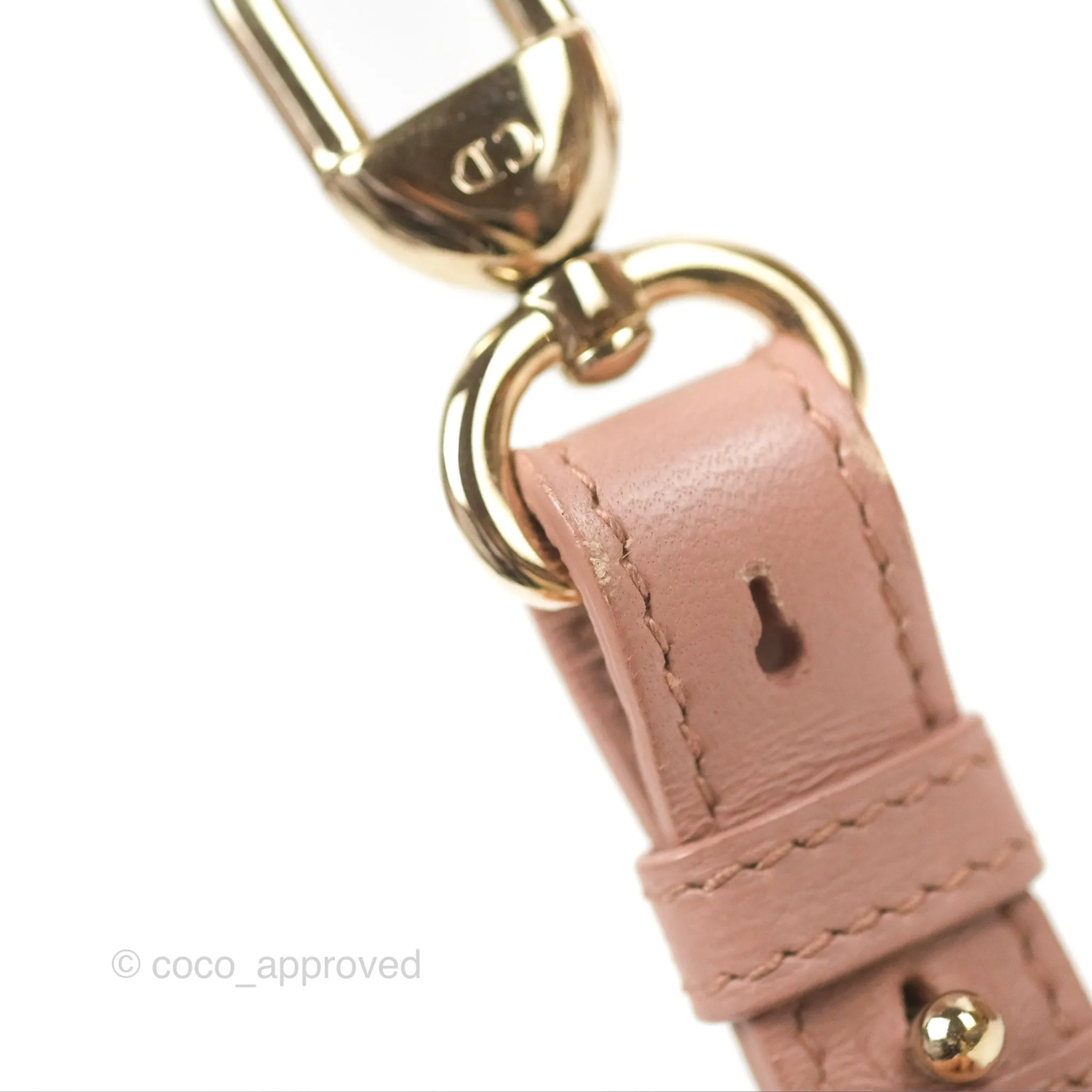 Christian Dior Lambskin My ABCDior Lady Dior Fard Gold Hardware