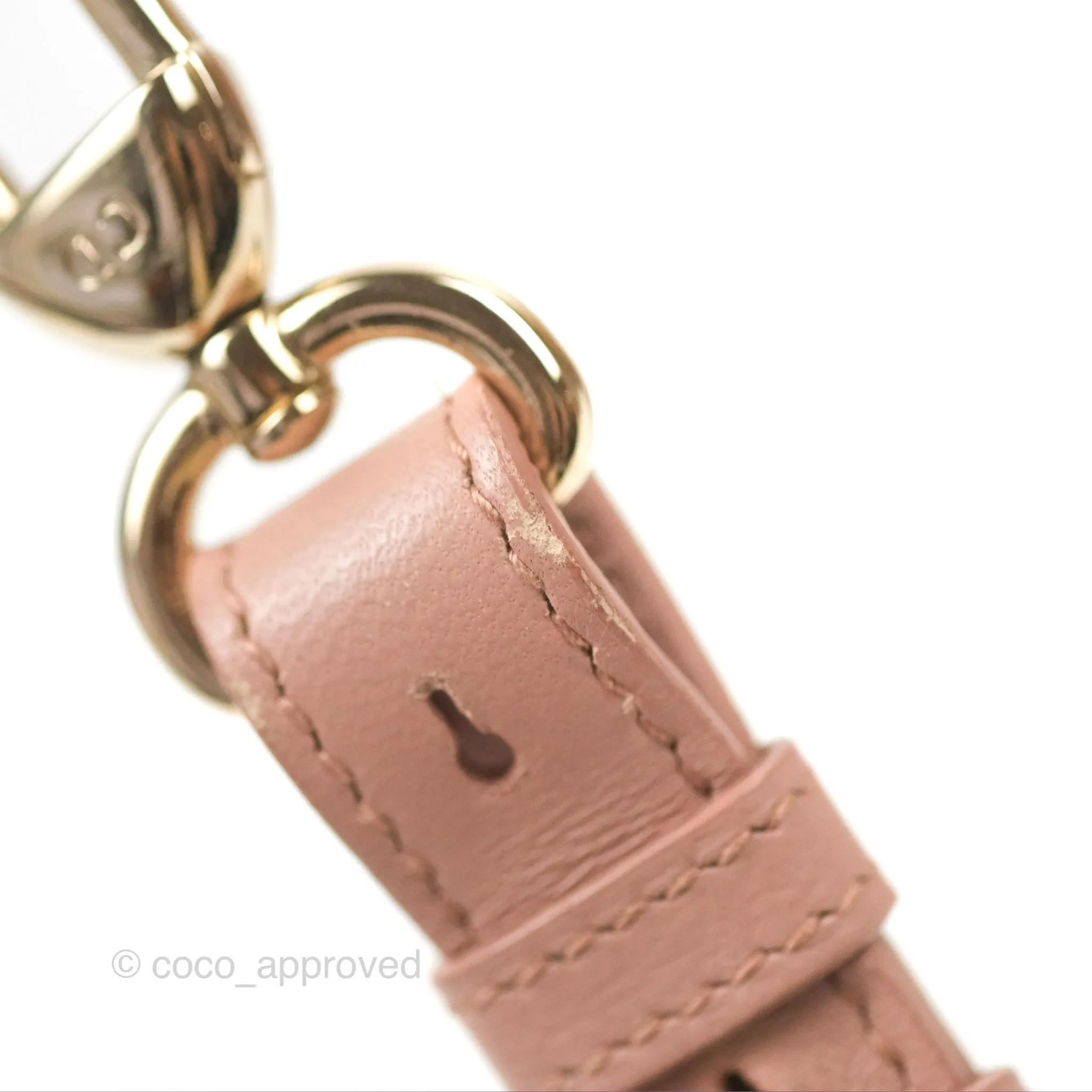 Christian Dior Lambskin My ABCDior Lady Dior Fard Gold Hardware