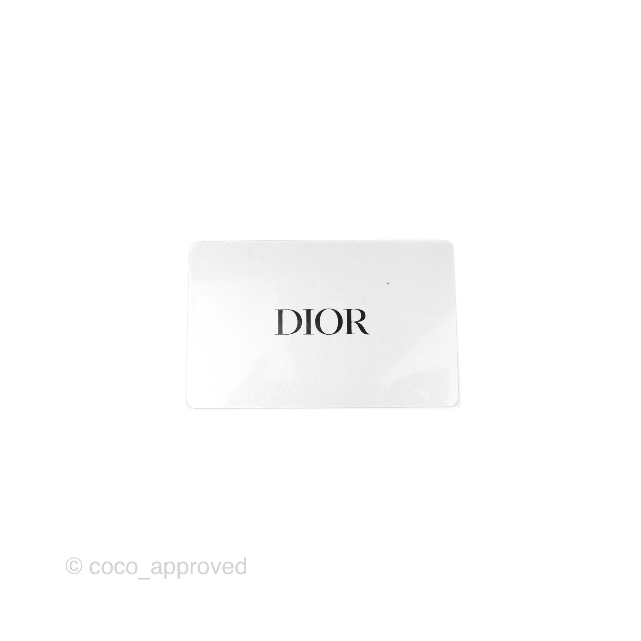 Christian Dior Large Dior Black and White Plan de Paris Embroidery Book Tote