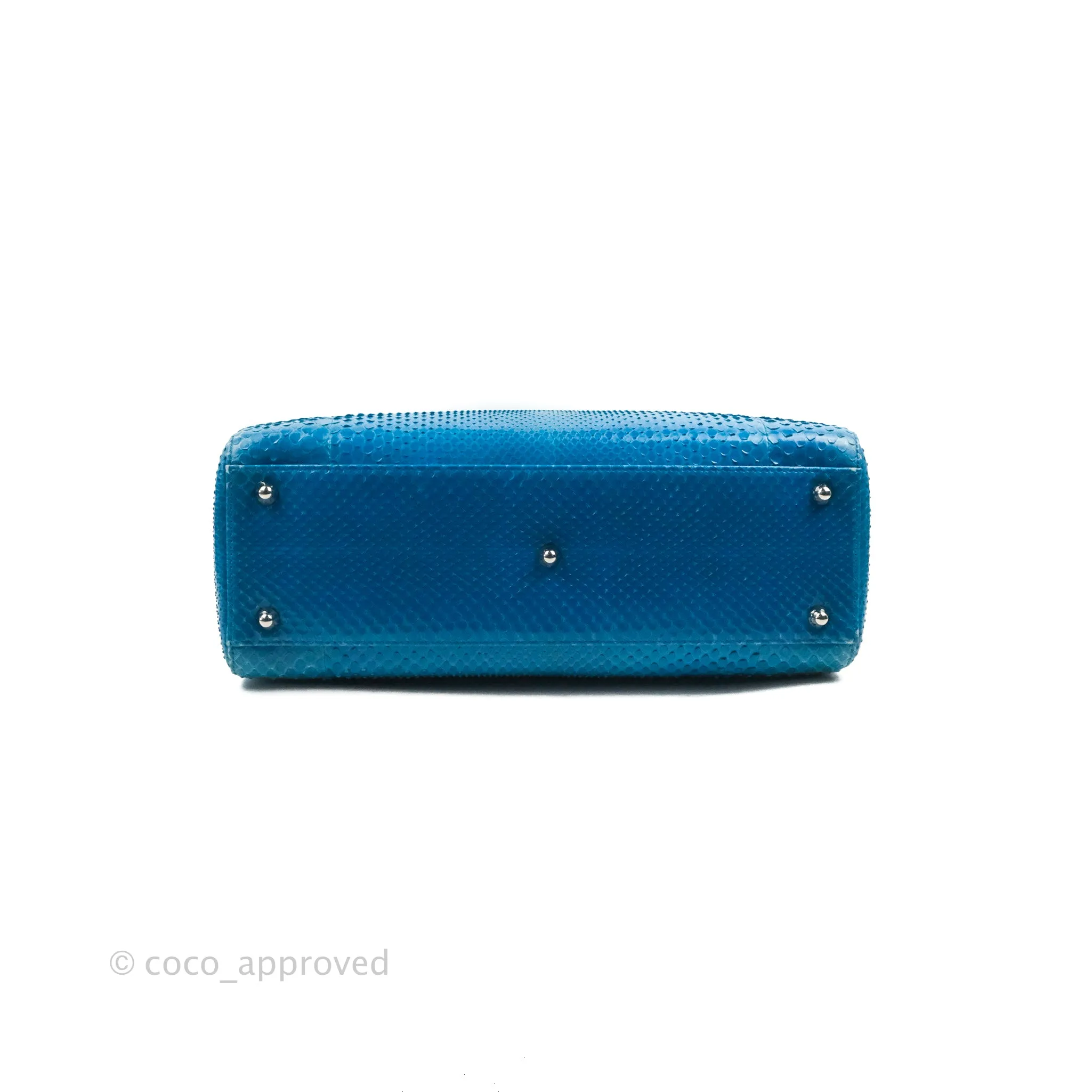 Christian Dior Large Lady Dior Python Blue Silver Hardware