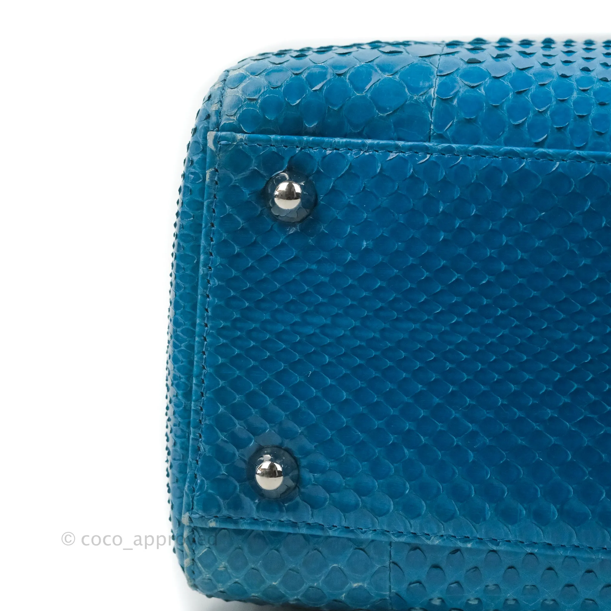 Christian Dior Large Lady Dior Python Blue Silver Hardware