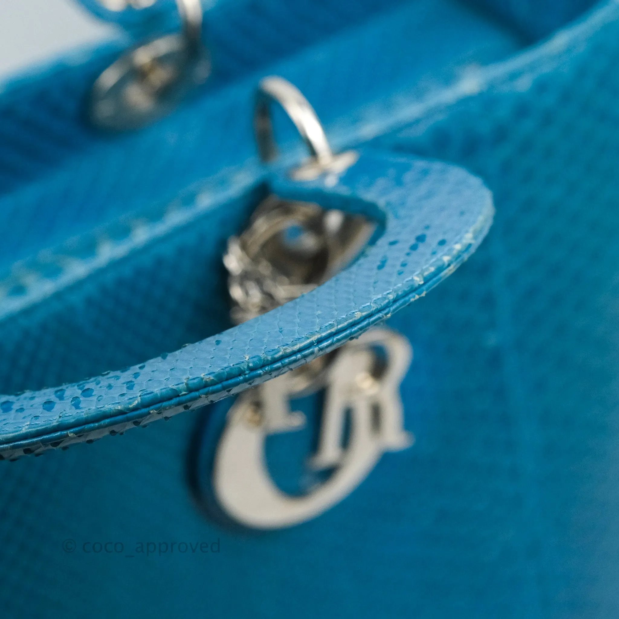 Christian Dior Large Lady Dior Python Blue Silver Hardware