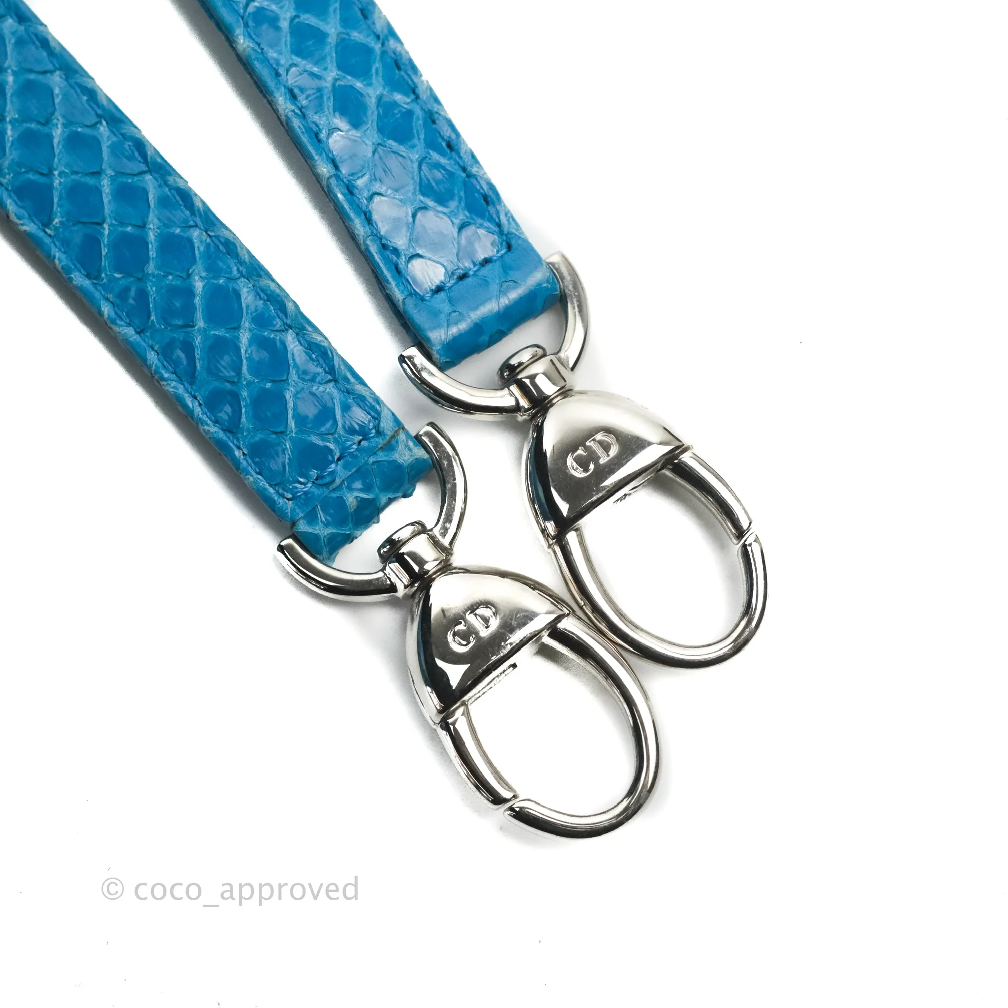 Christian Dior Large Lady Dior Python Blue Silver Hardware