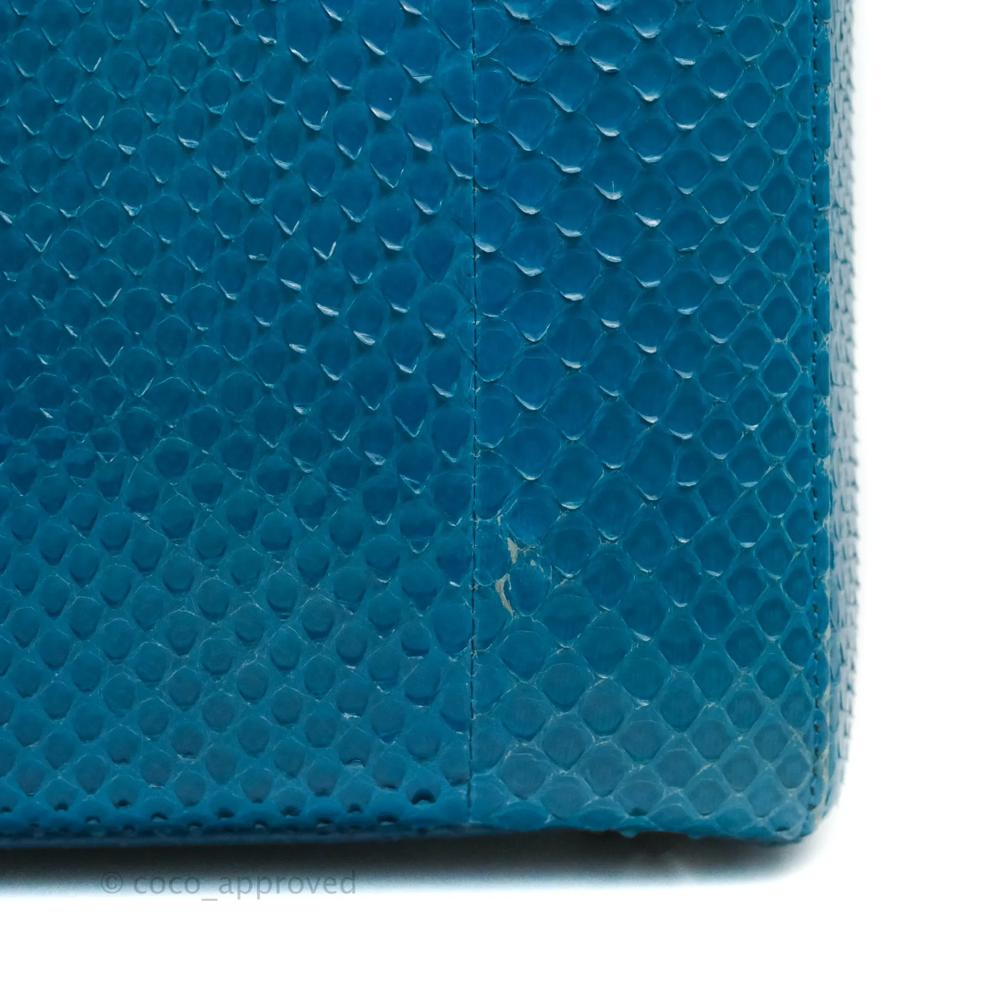 Christian Dior Large Lady Dior Python Blue Silver Hardware