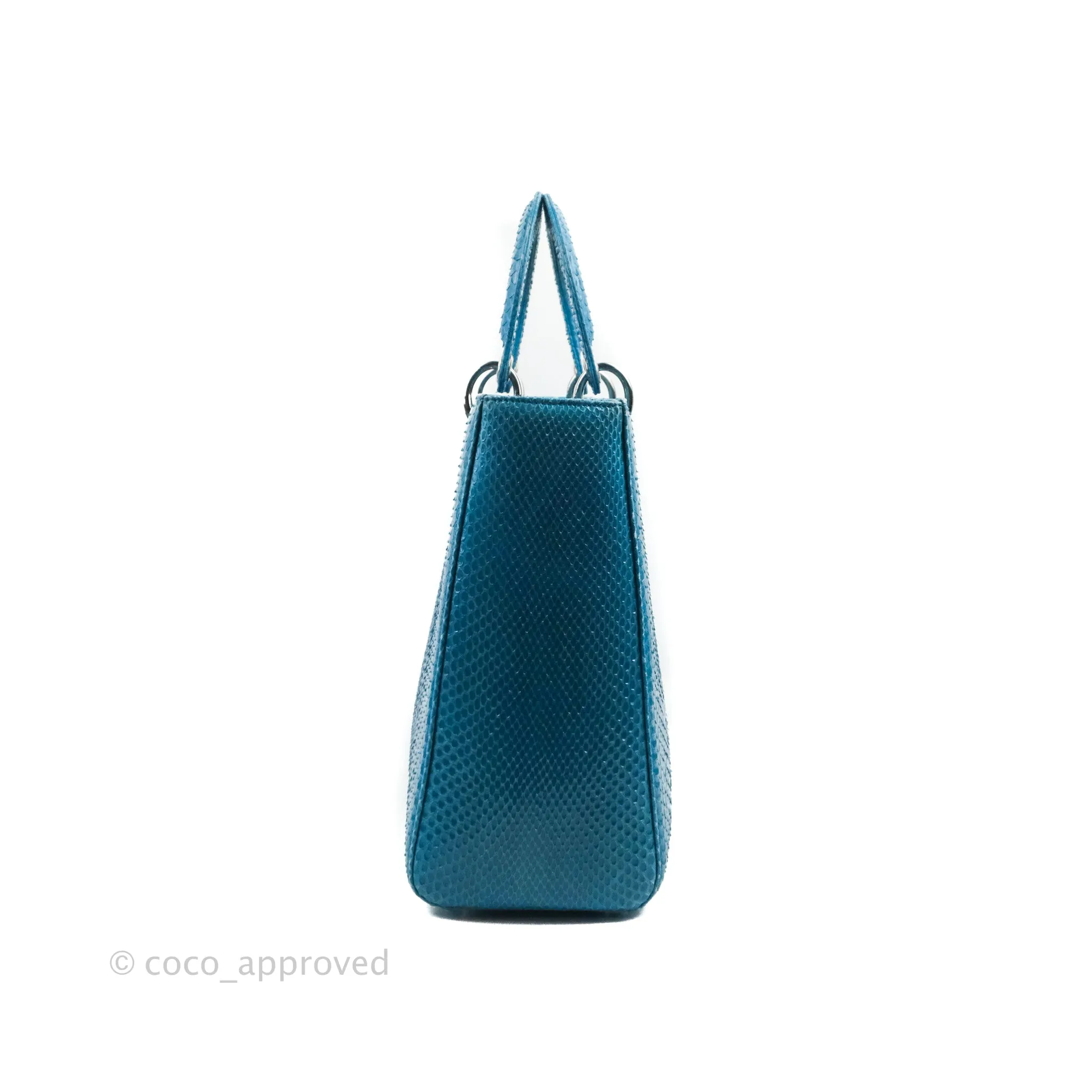 Christian Dior Large Lady Dior Python Blue Silver Hardware