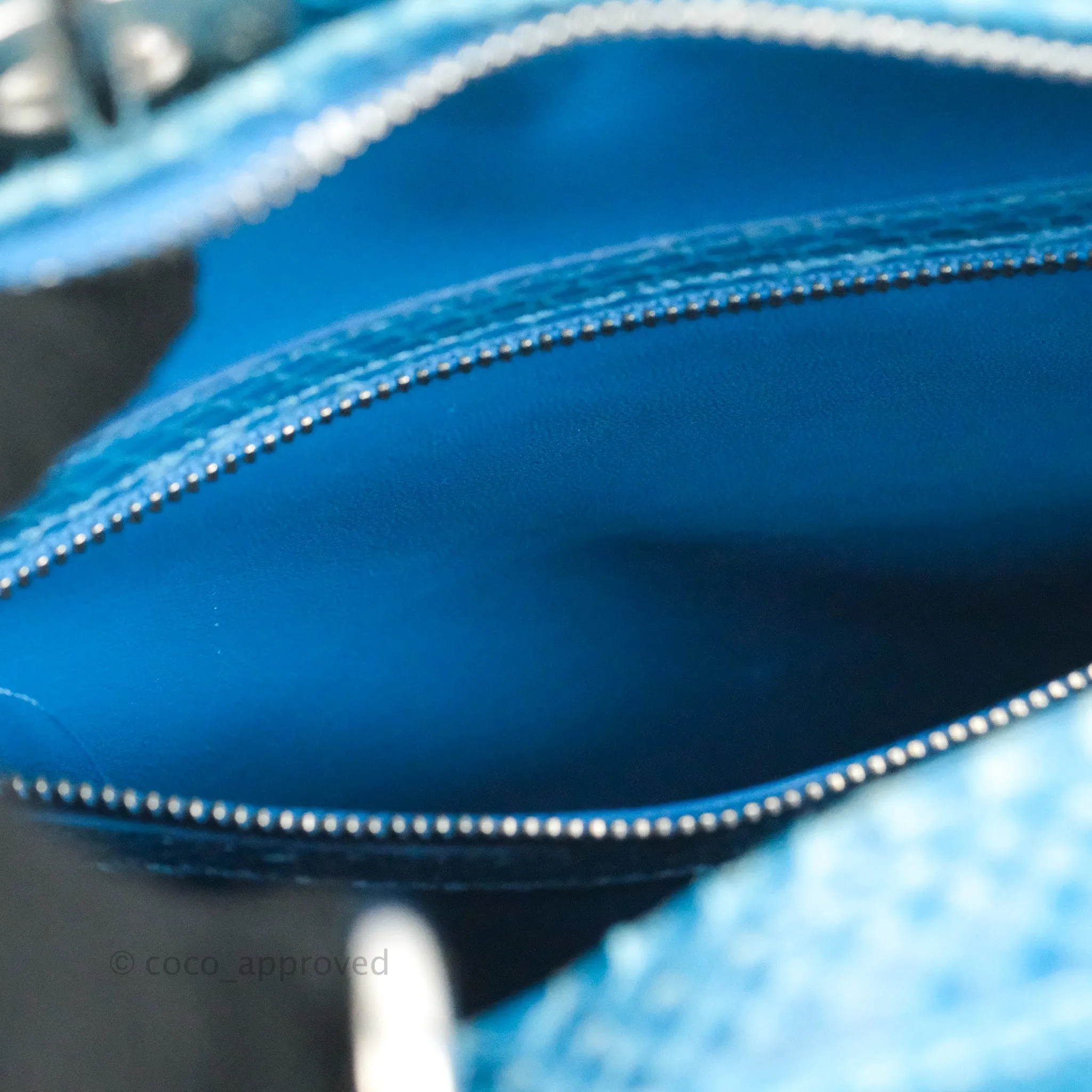 Christian Dior Large Lady Dior Python Blue Silver Hardware