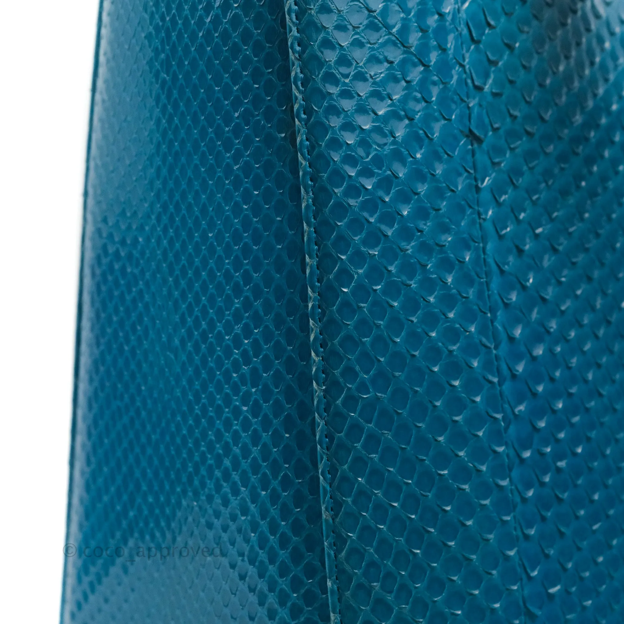Christian Dior Large Lady Dior Python Blue Silver Hardware