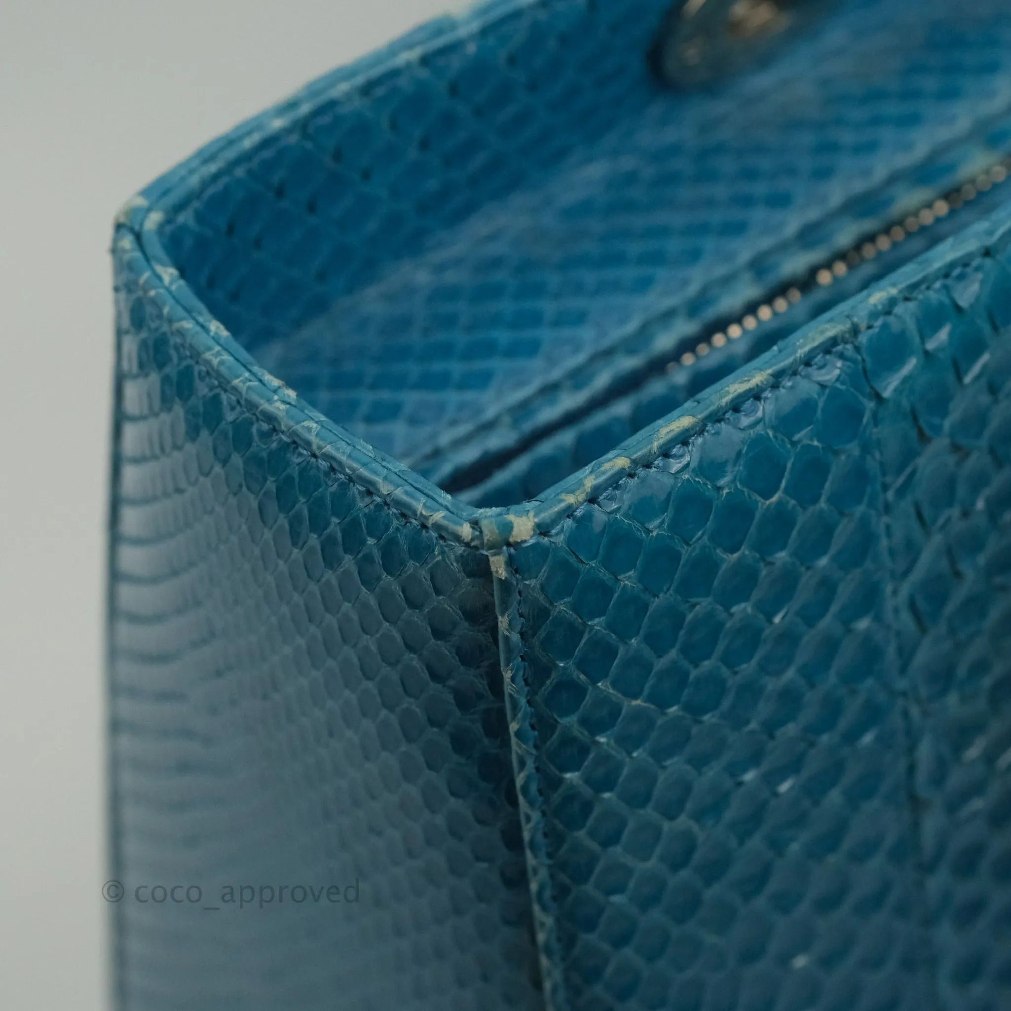 Christian Dior Large Lady Dior Python Blue Silver Hardware