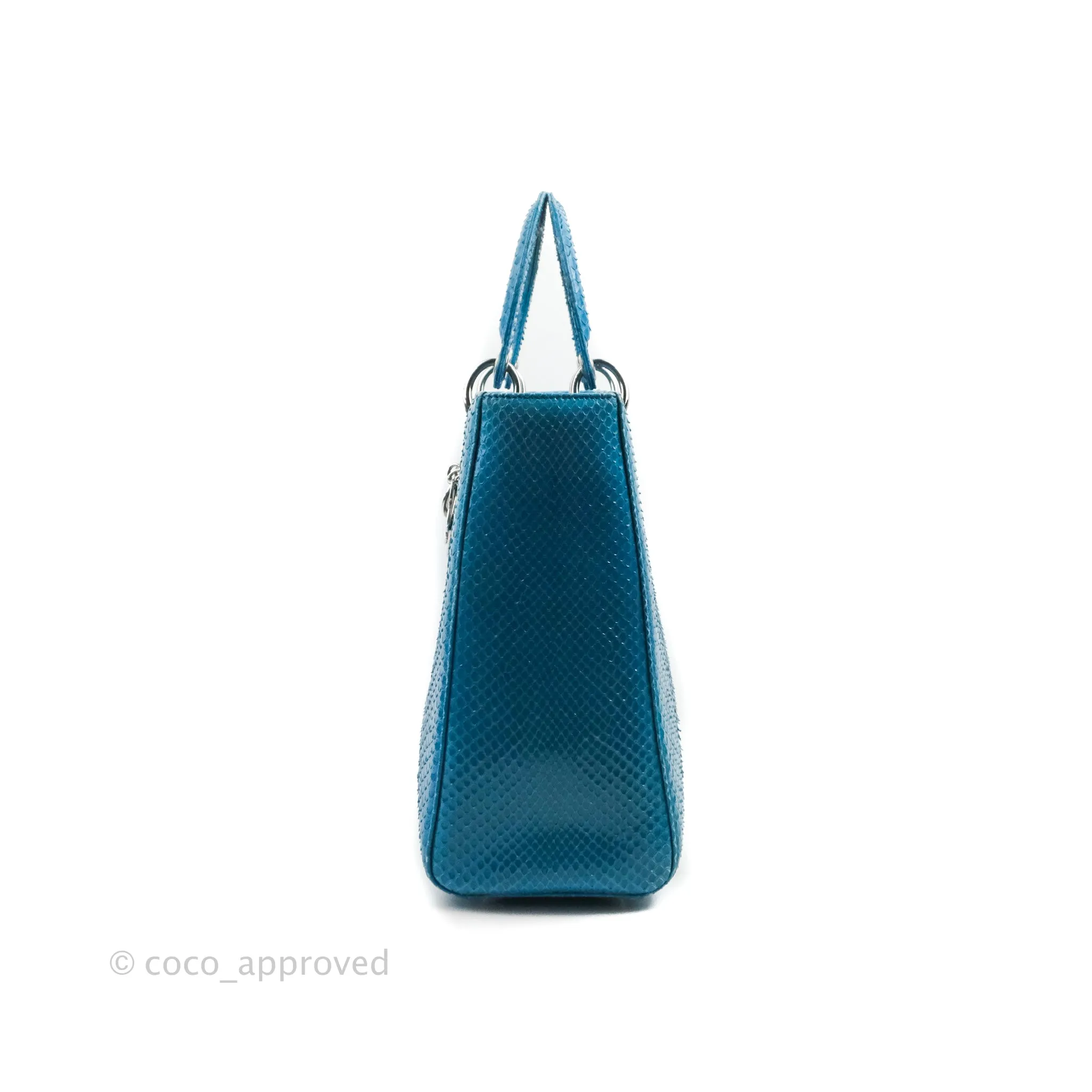 Christian Dior Large Lady Dior Python Blue Silver Hardware