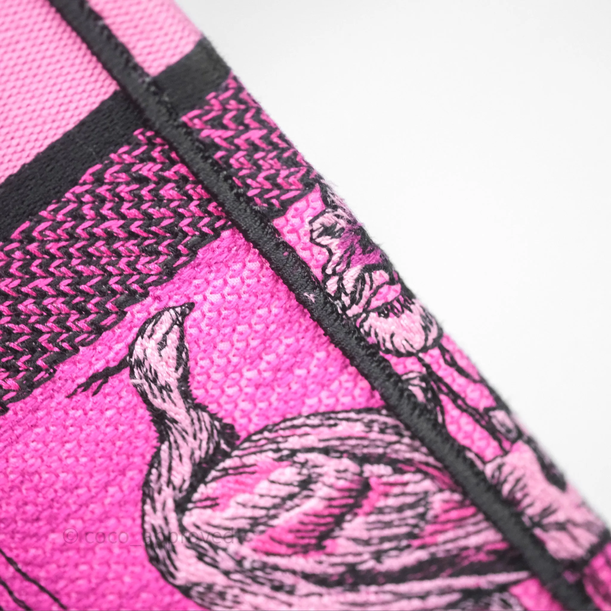 Christian Dior Large Pink Book Tote Canvas