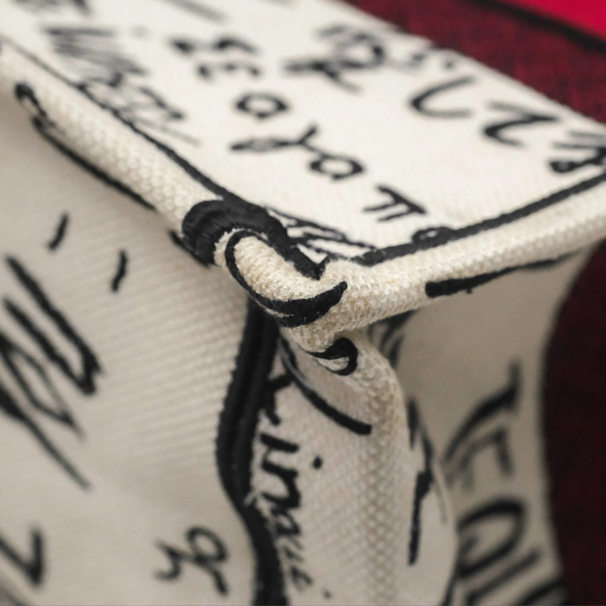 Christian Dior Medium Book Tote DiorAmour 2020 Limited Edition