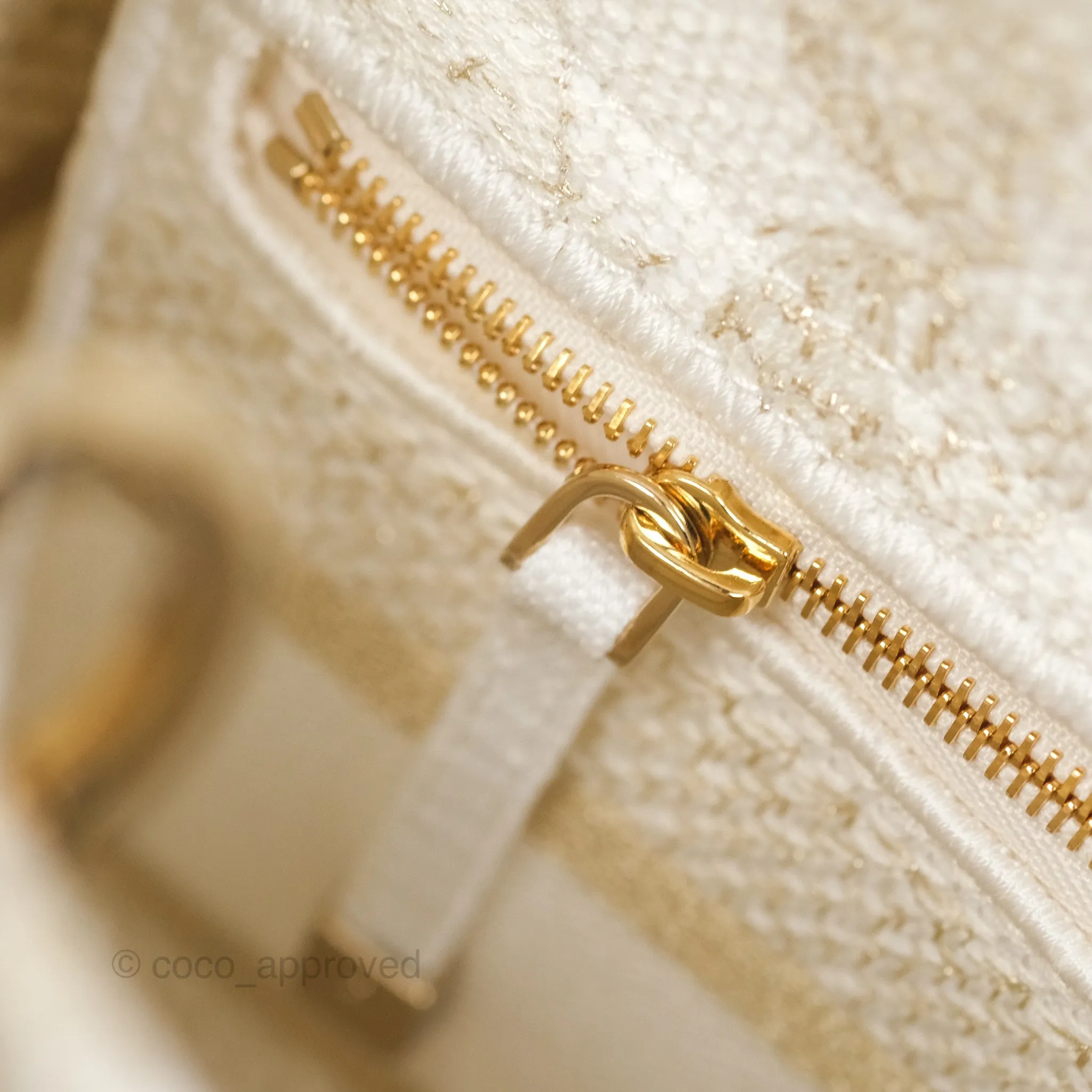 Christian Dior Medium Lady D-Lite Bag Dior Jardin d'Hiver Embroidery White