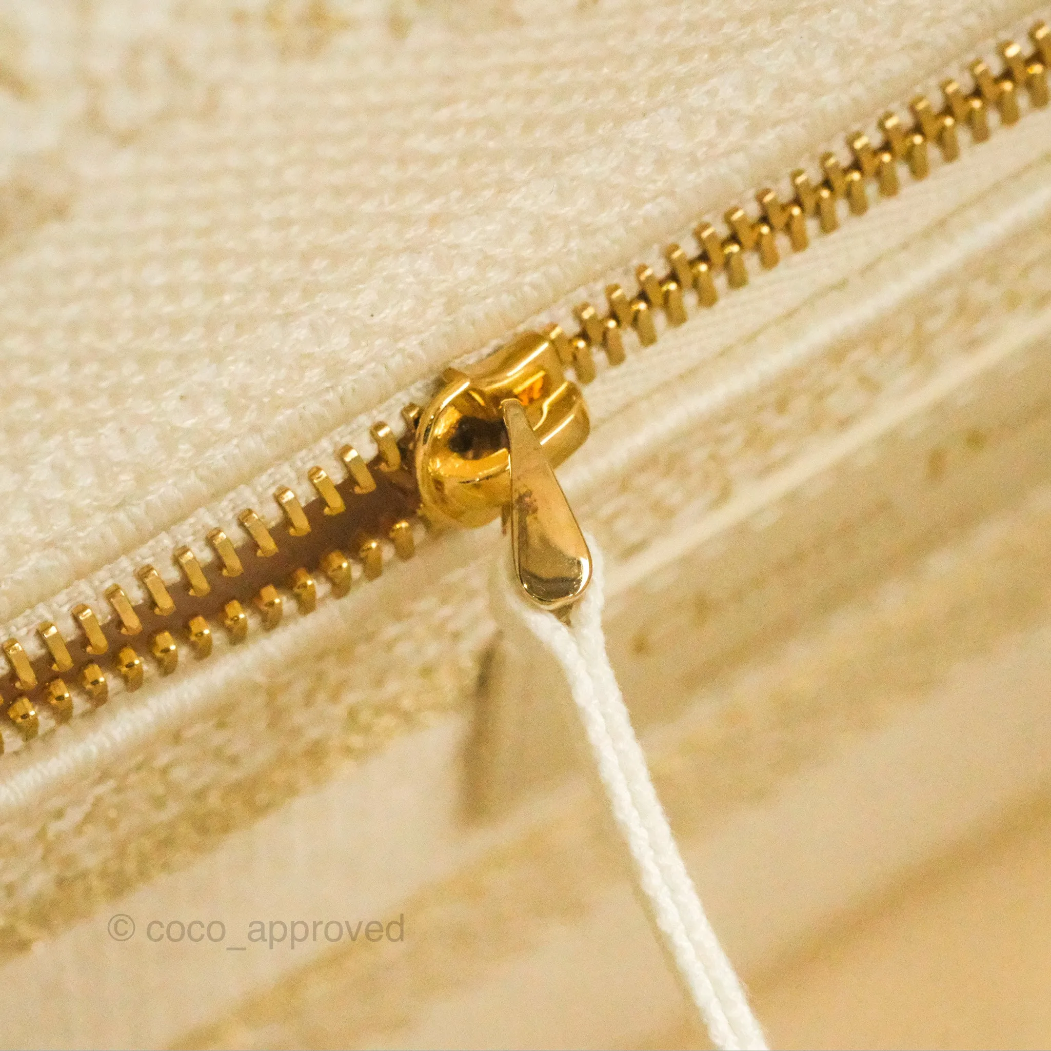 Christian Dior Medium Lady D-Lite Bag Dior Jardin d'Hiver Embroidery White