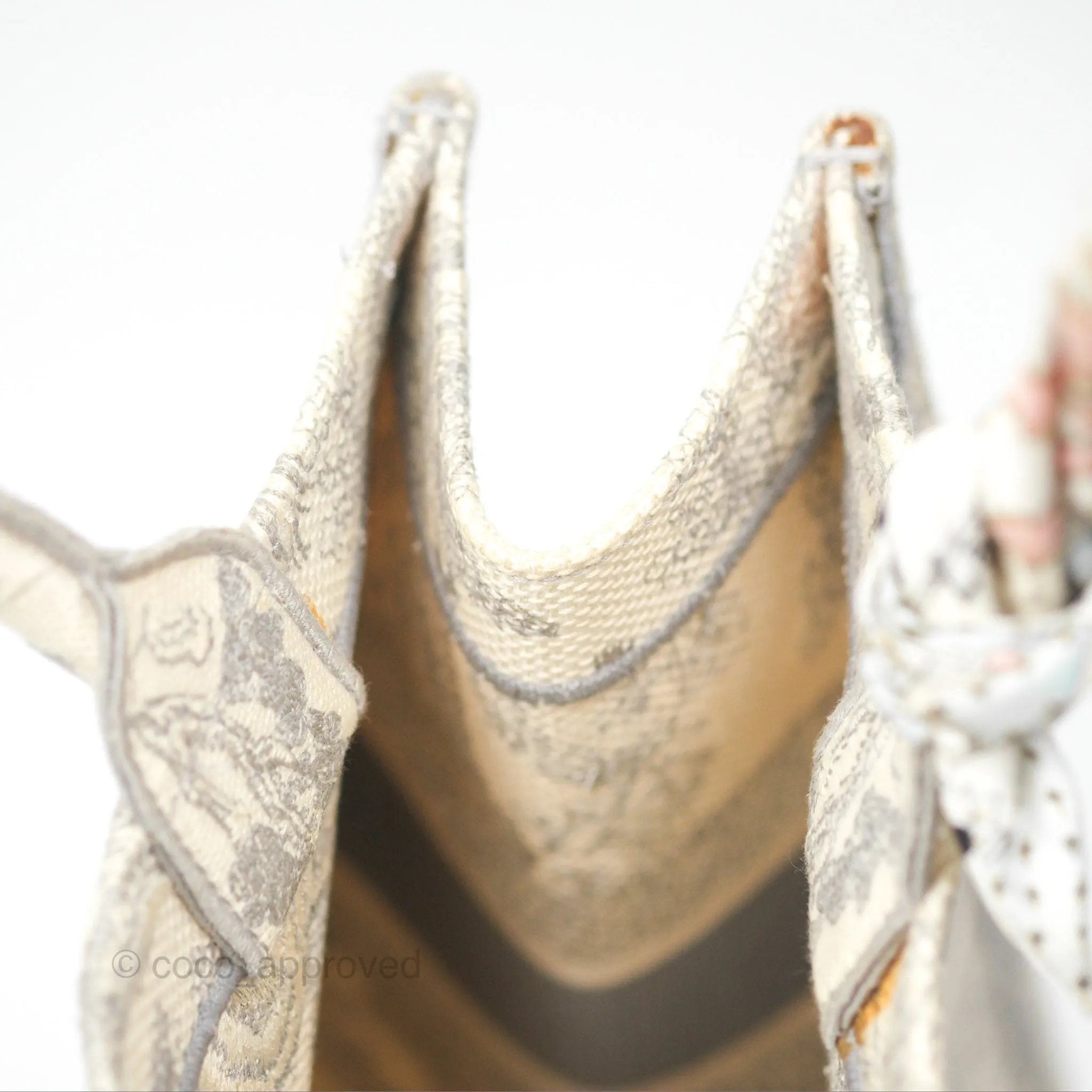 Christian Dior Medium (Old Small) Book Tote Embroidered Toile De Jouy Light Grey Canvas
