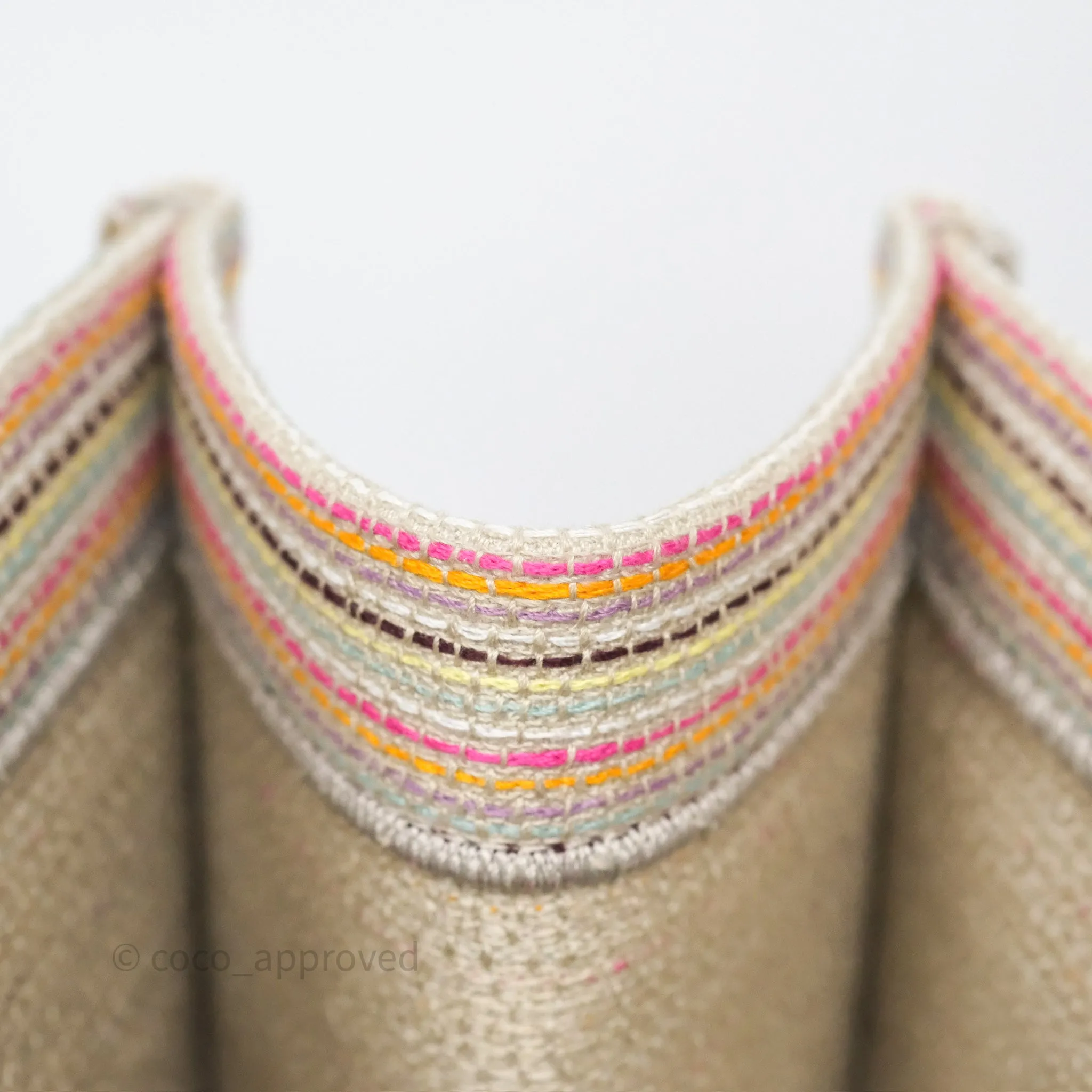 Christian Dior Medium Rainbow Book Tote Canvas