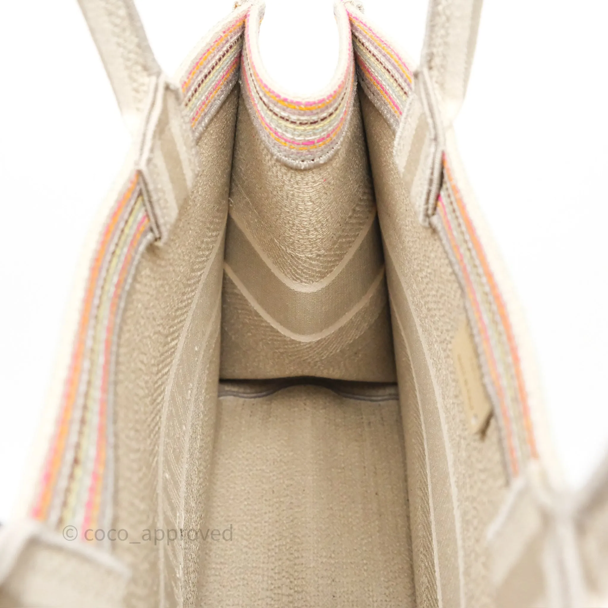 Christian Dior Medium Rainbow Book Tote Canvas