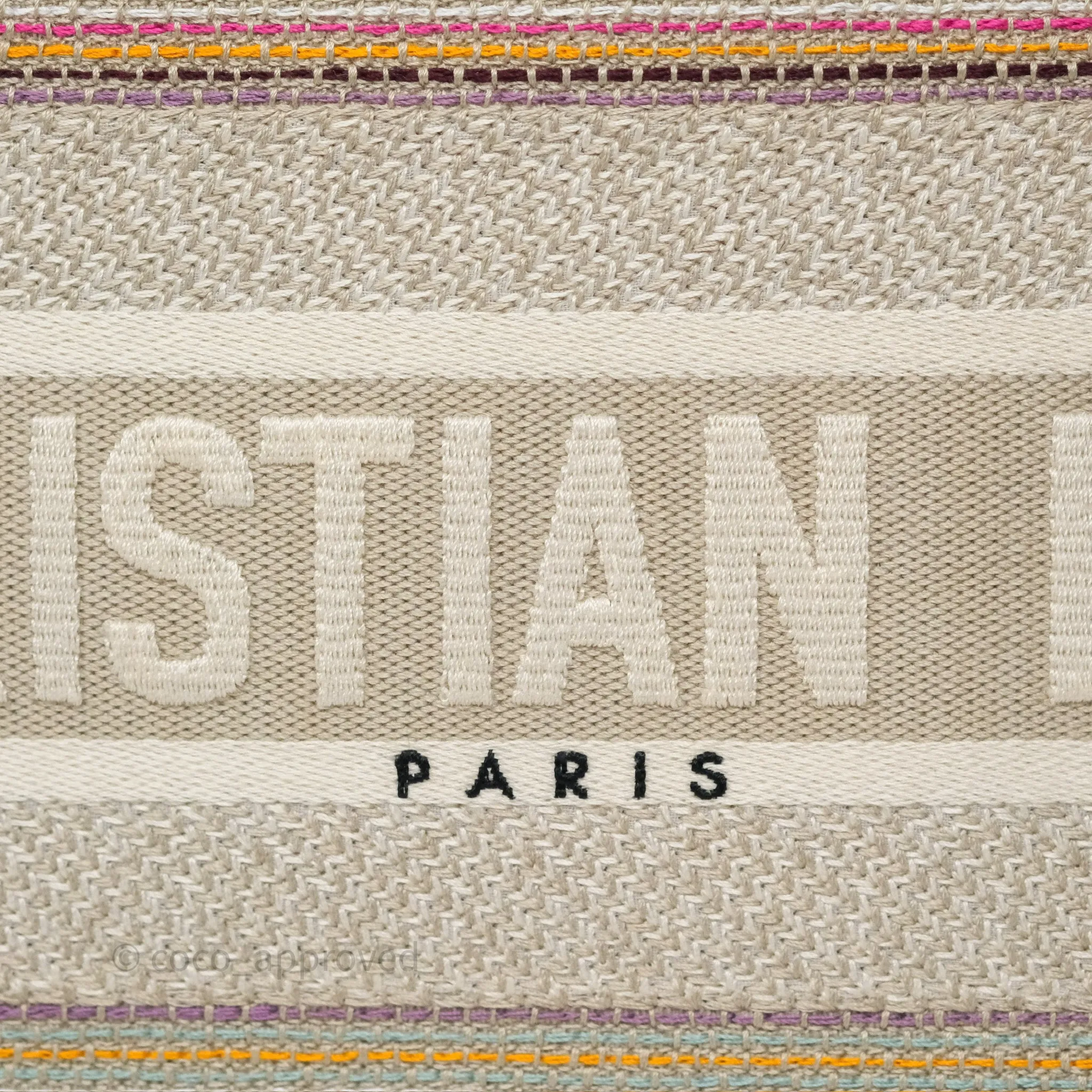 Christian Dior Medium Rainbow Book Tote Canvas