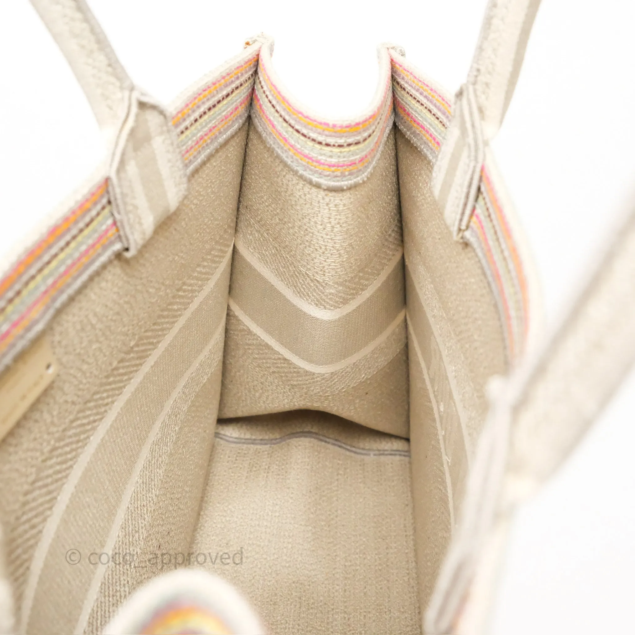 Christian Dior Medium Rainbow Book Tote Canvas