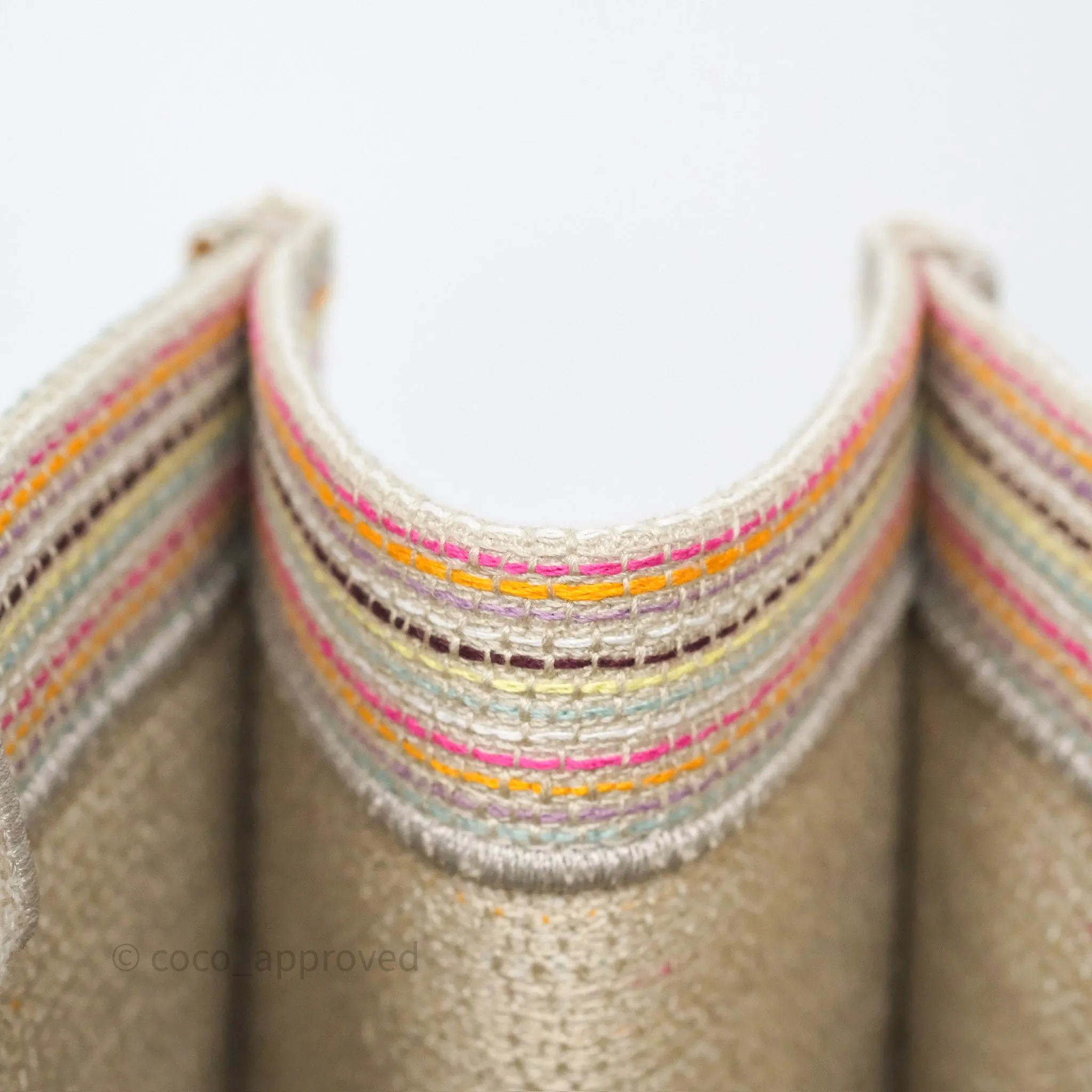 Christian Dior Medium Rainbow Book Tote Canvas
