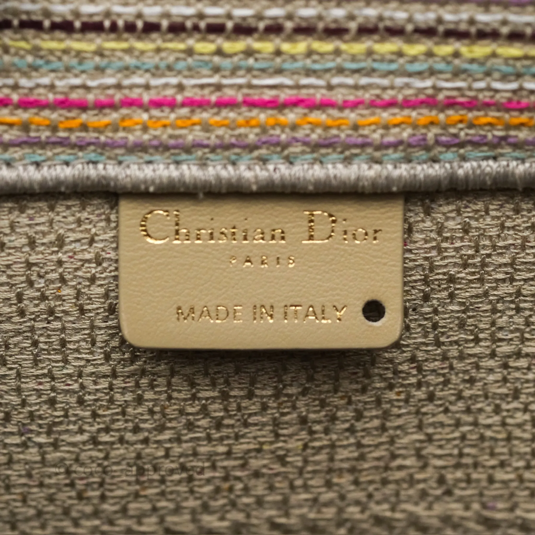 Christian Dior Medium Rainbow Book Tote Canvas