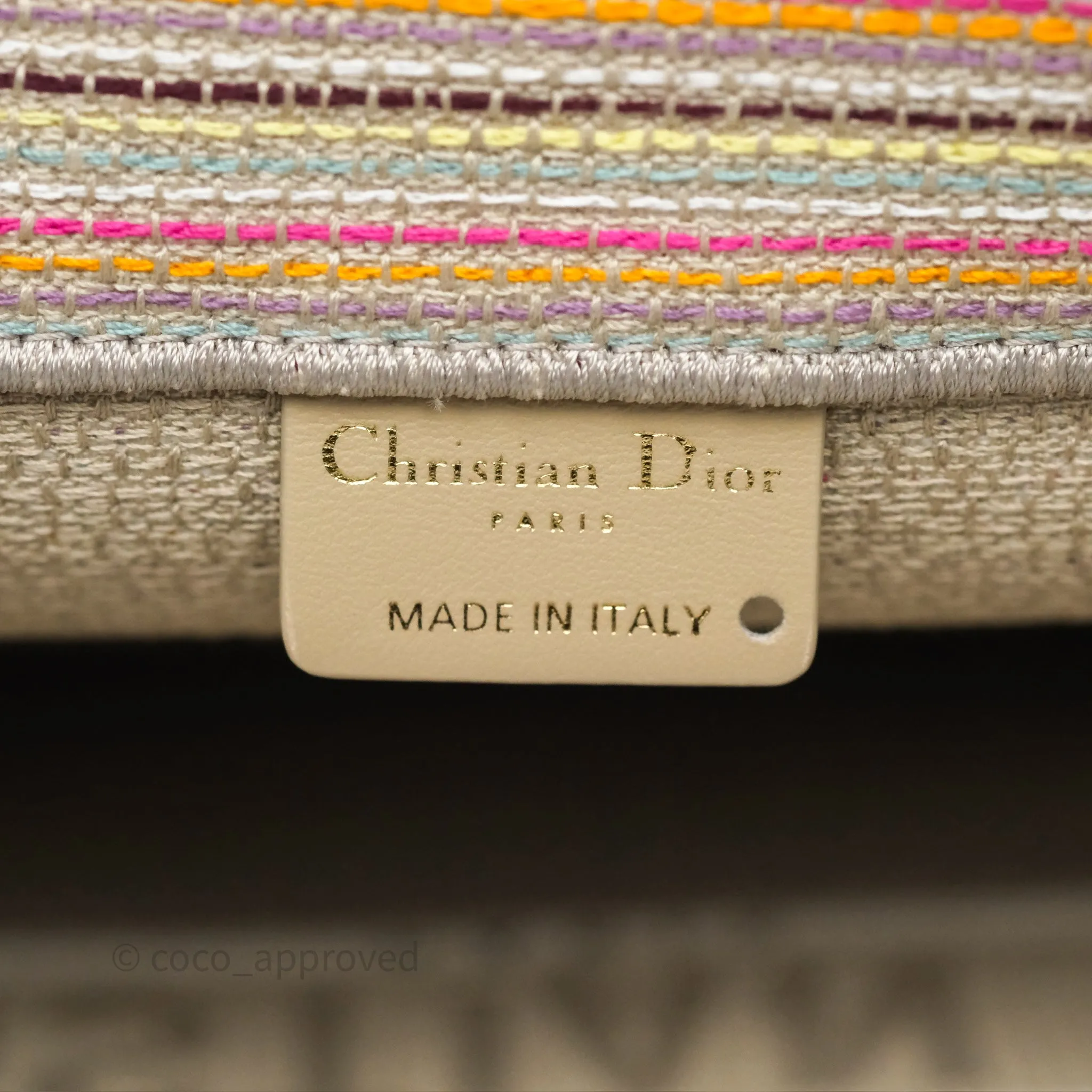 Christian Dior Medium Rainbow Book Tote Canvas