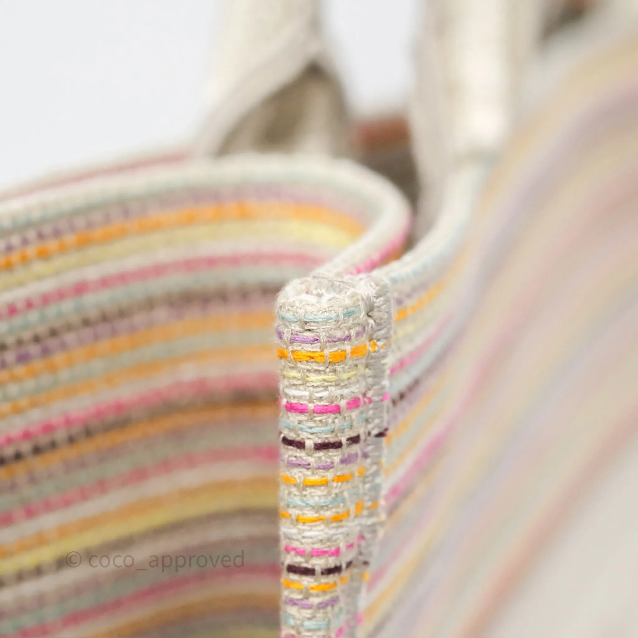 Christian Dior Medium Rainbow Book Tote Canvas