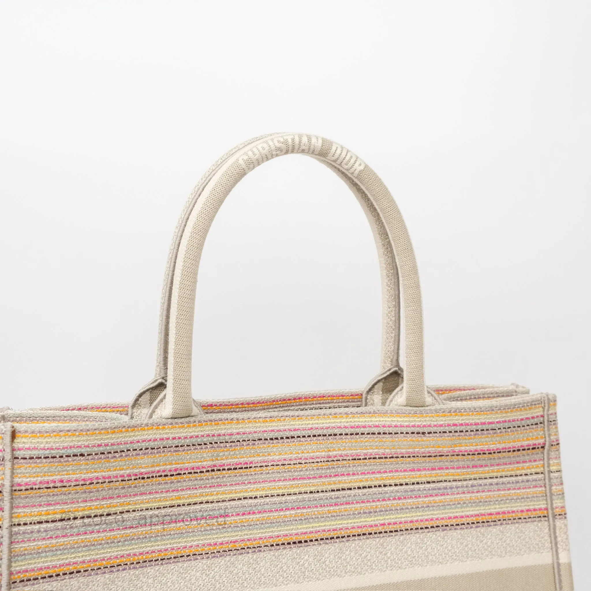 Christian Dior Medium Rainbow Book Tote Canvas