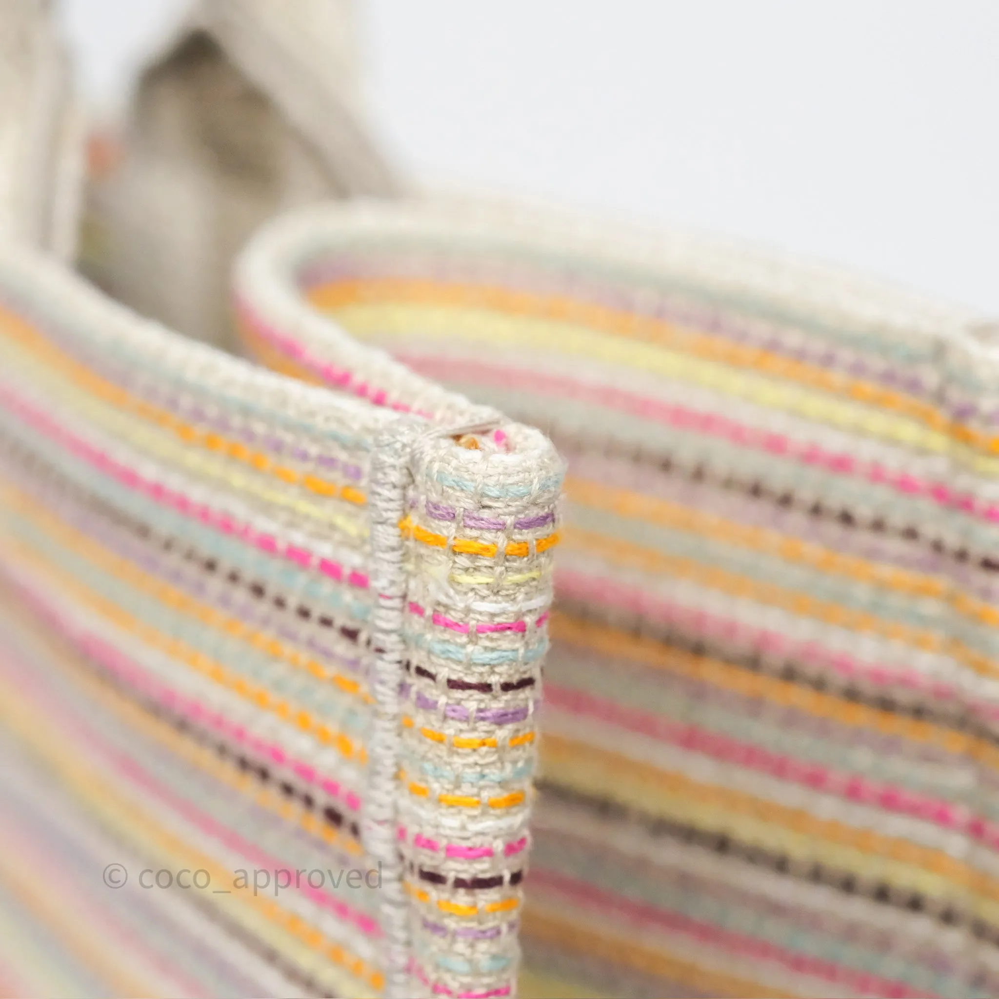 Christian Dior Medium Rainbow Book Tote Canvas