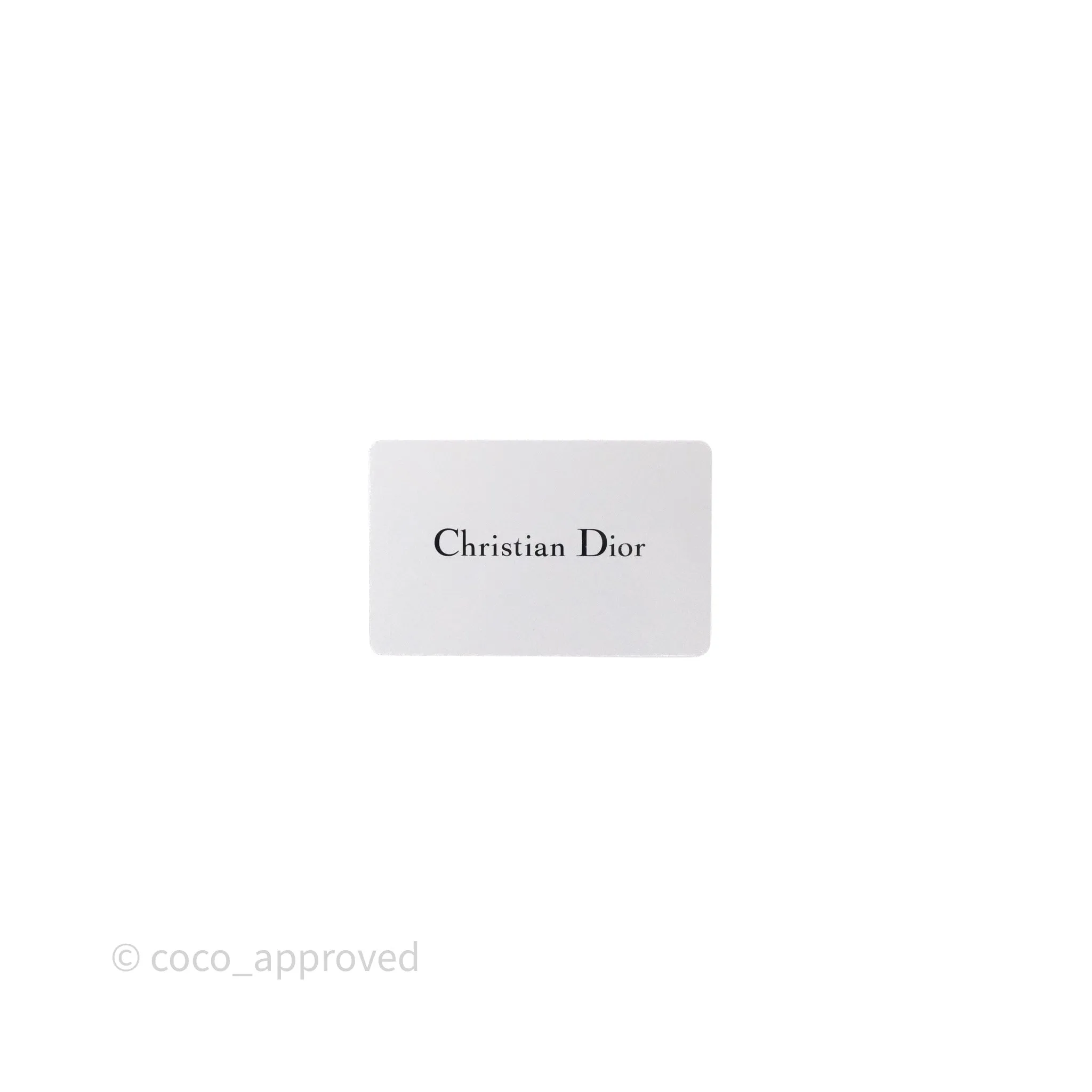 Christian Dior Medium Rainbow Book Tote Canvas