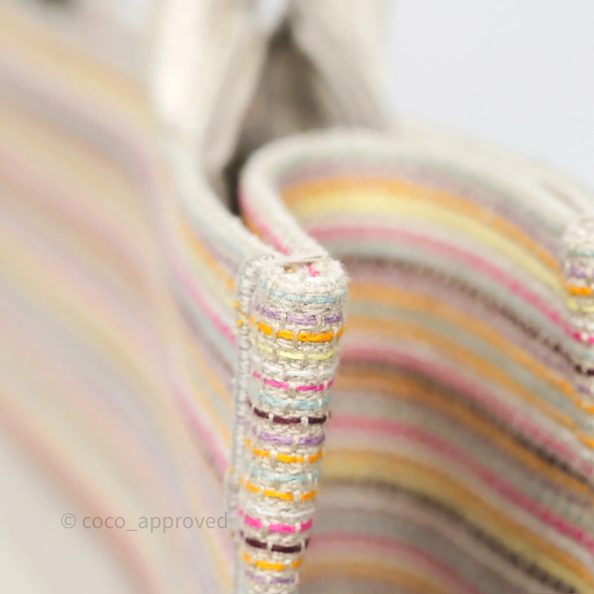 Christian Dior Medium Rainbow Book Tote Canvas