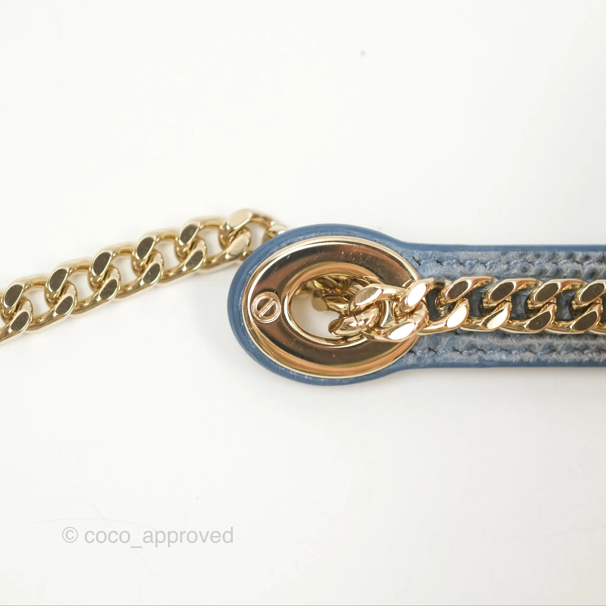 Christian Dior Mini Lady Dior Ombre Blue Lizard Gold Hardware