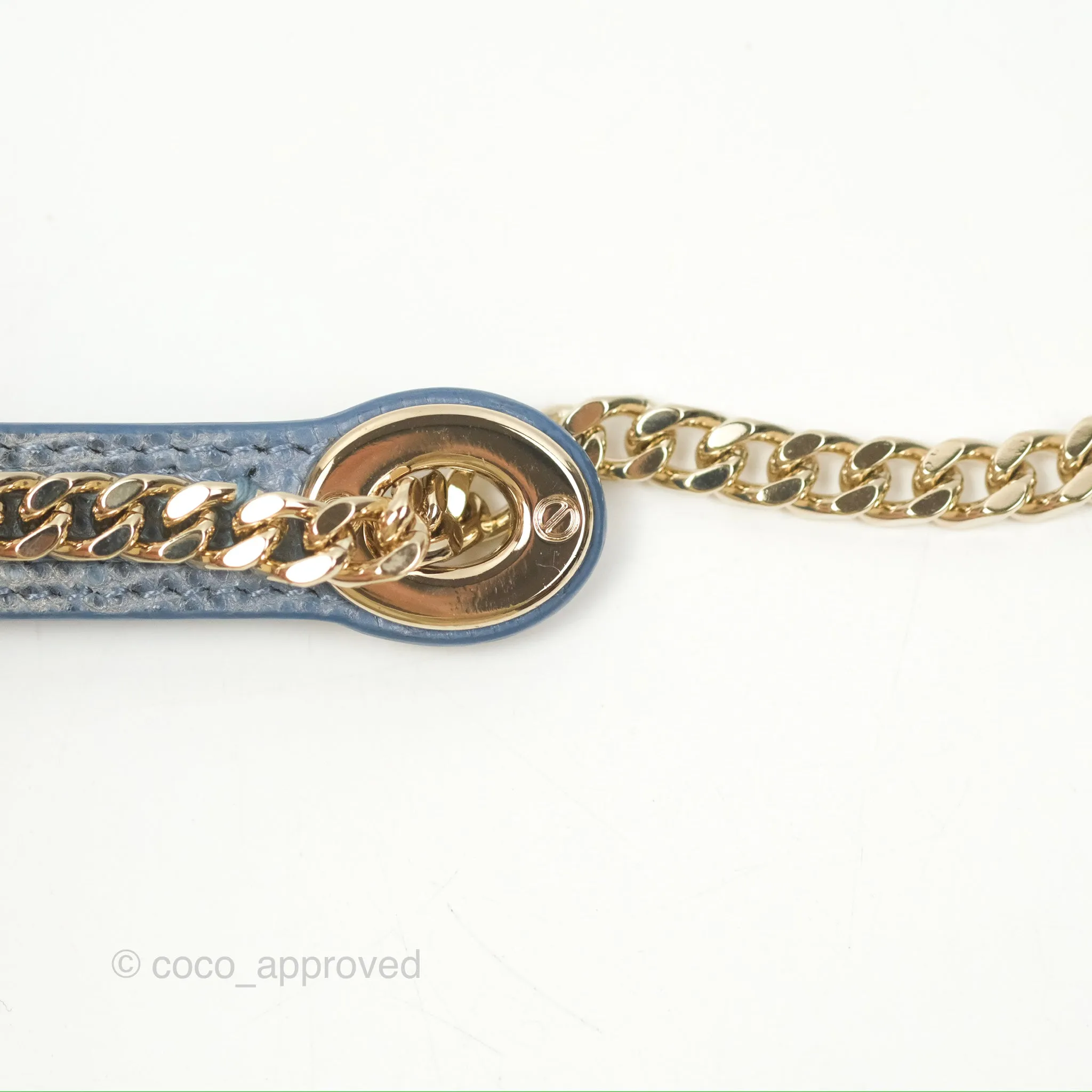 Christian Dior Mini Lady Dior Ombre Blue Lizard Gold Hardware