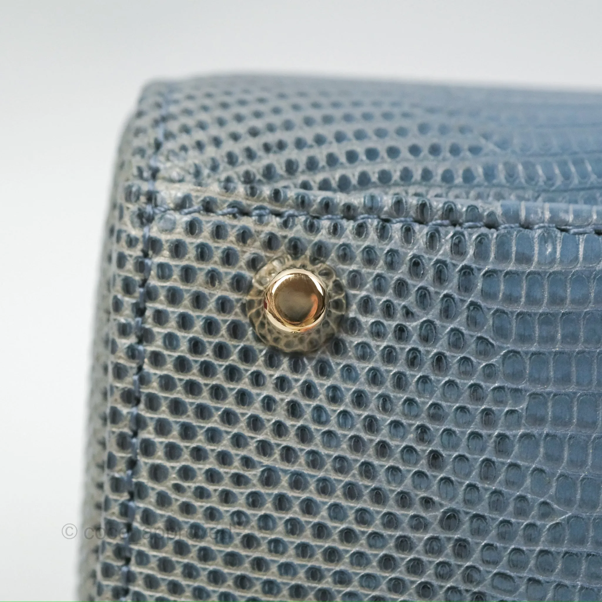 Christian Dior Mini Lady Dior Ombre Blue Lizard Gold Hardware