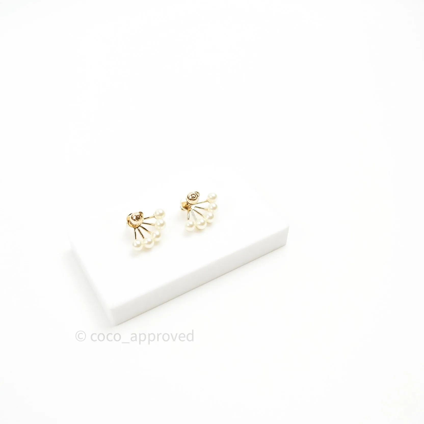 Christian Dior Pearl La Peite Tribale Earrings