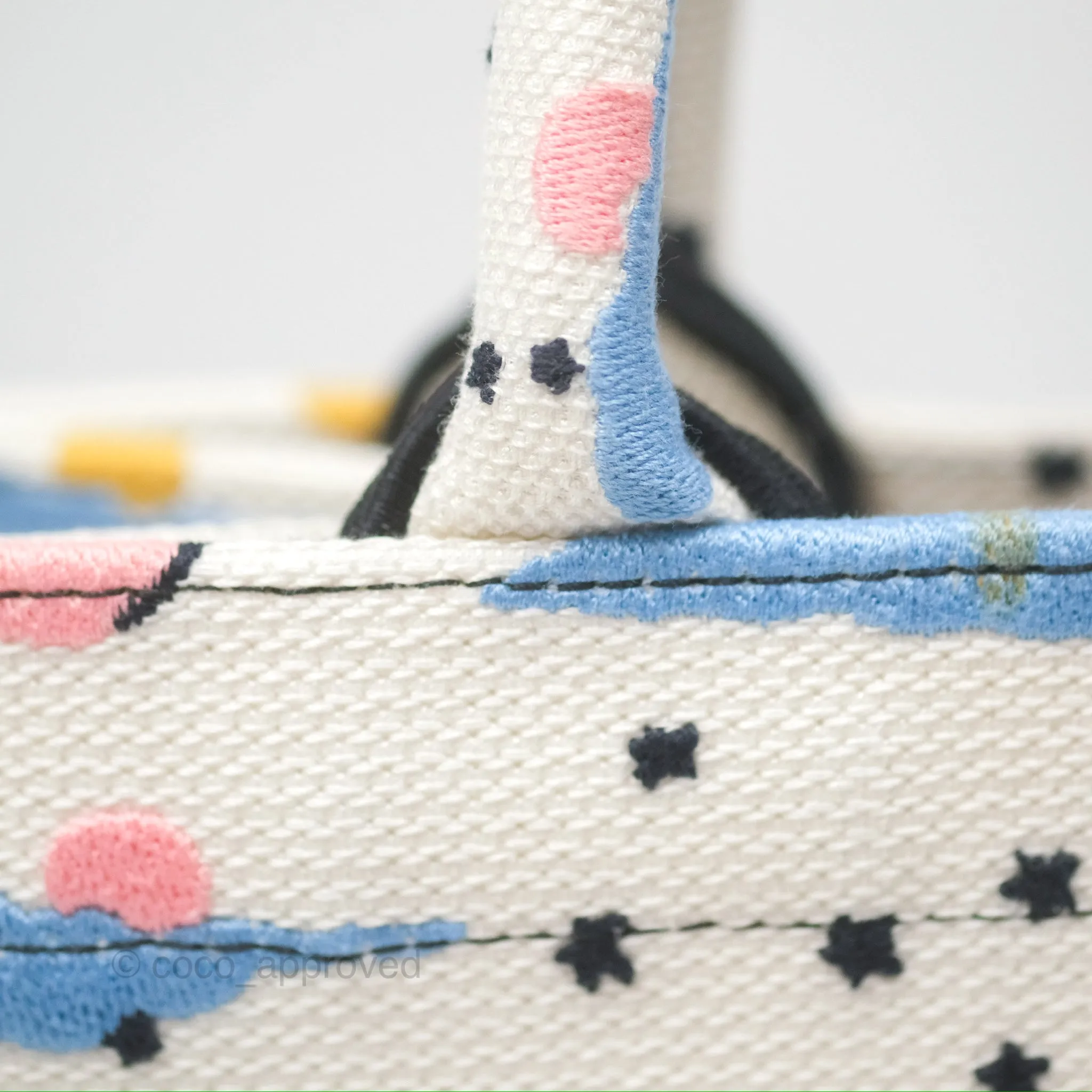 Christian Dior Small Book Tote Dior Latte Ciel de Rve Embroidery