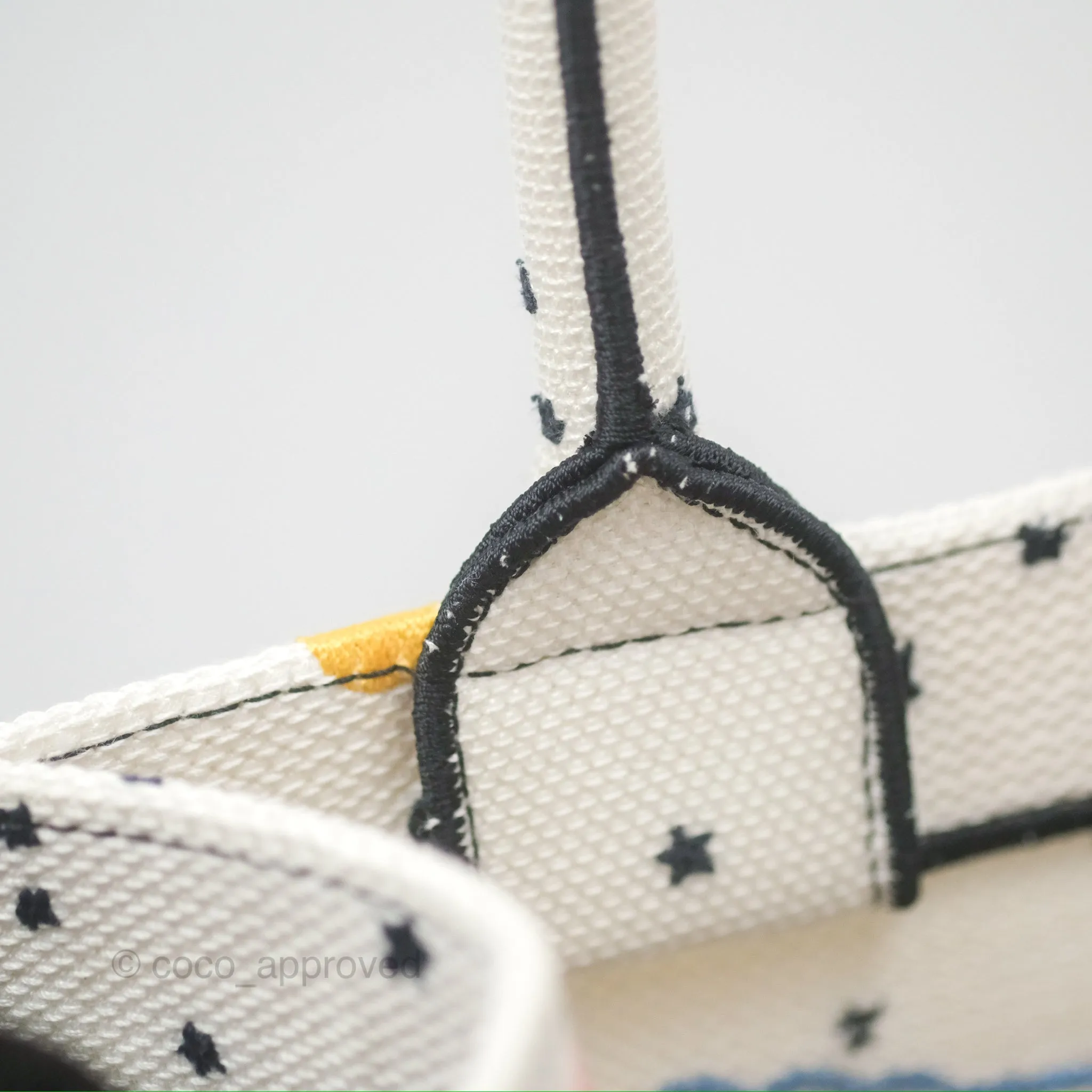 Christian Dior Small Book Tote Dior Latte Ciel de Rve Embroidery