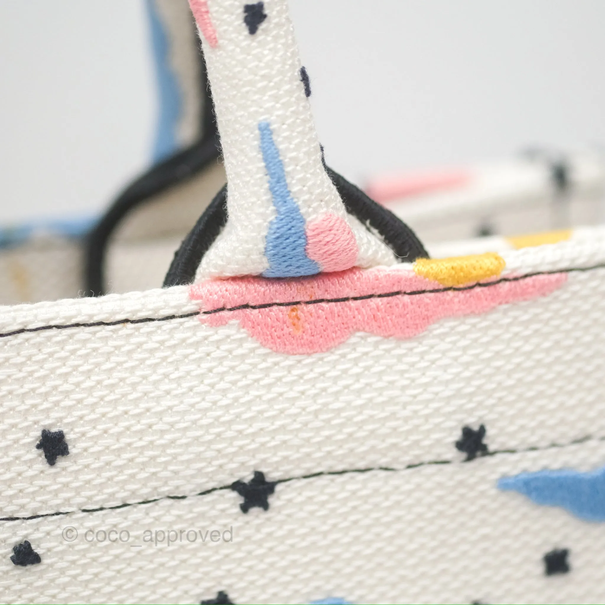 Christian Dior Small Book Tote Dior Latte Ciel de Rve Embroidery