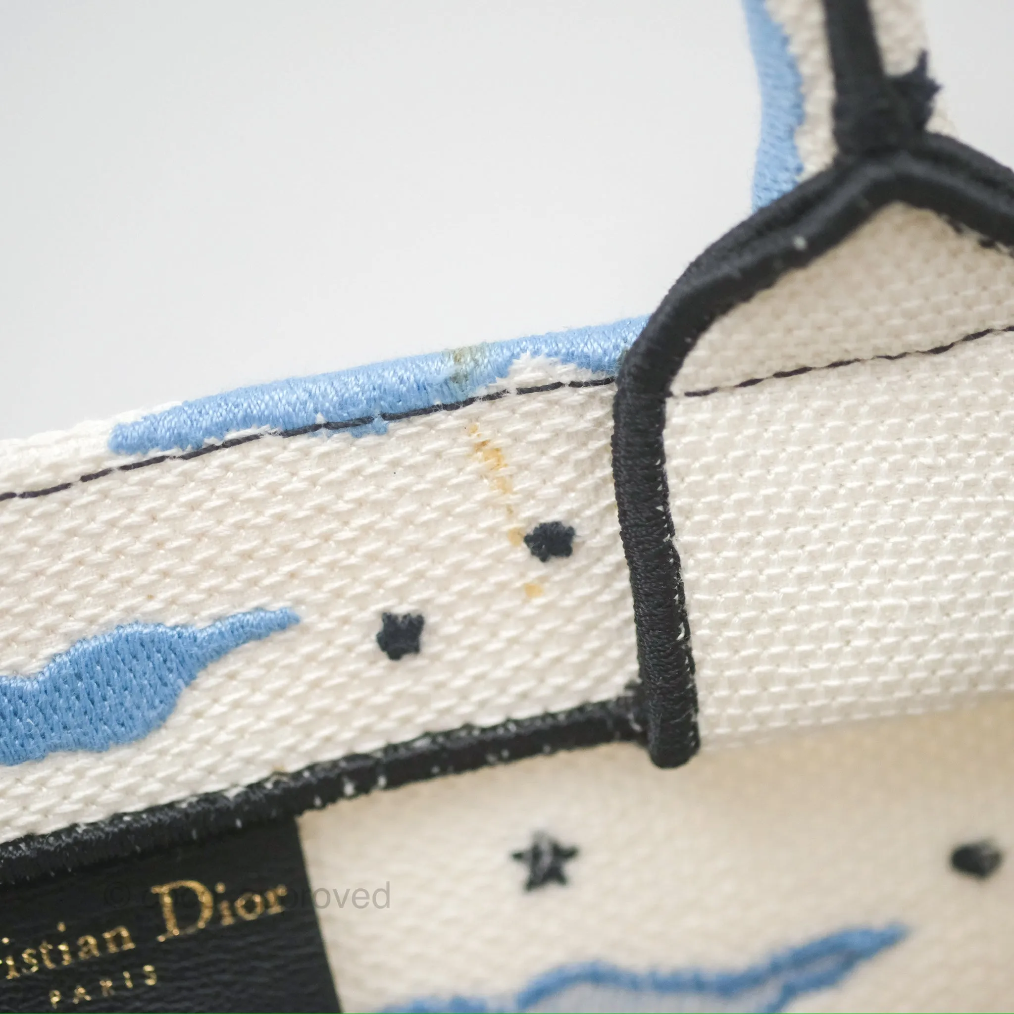 Christian Dior Small Book Tote Dior Latte Ciel de Rve Embroidery